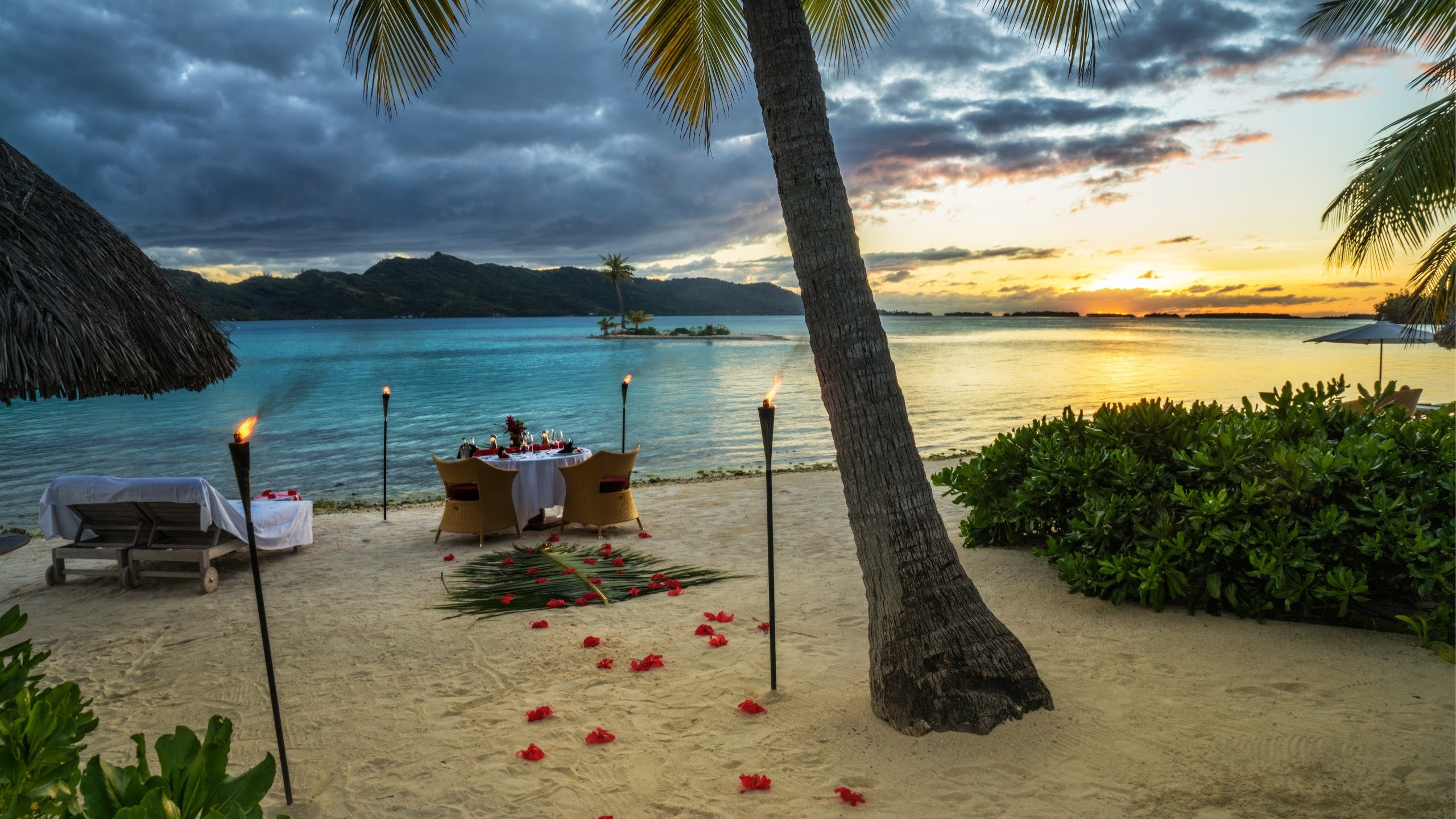 French Polynesia, Ocean paradise, Sunset beach getaway, Palm trees, 2560x1440 HD Desktop