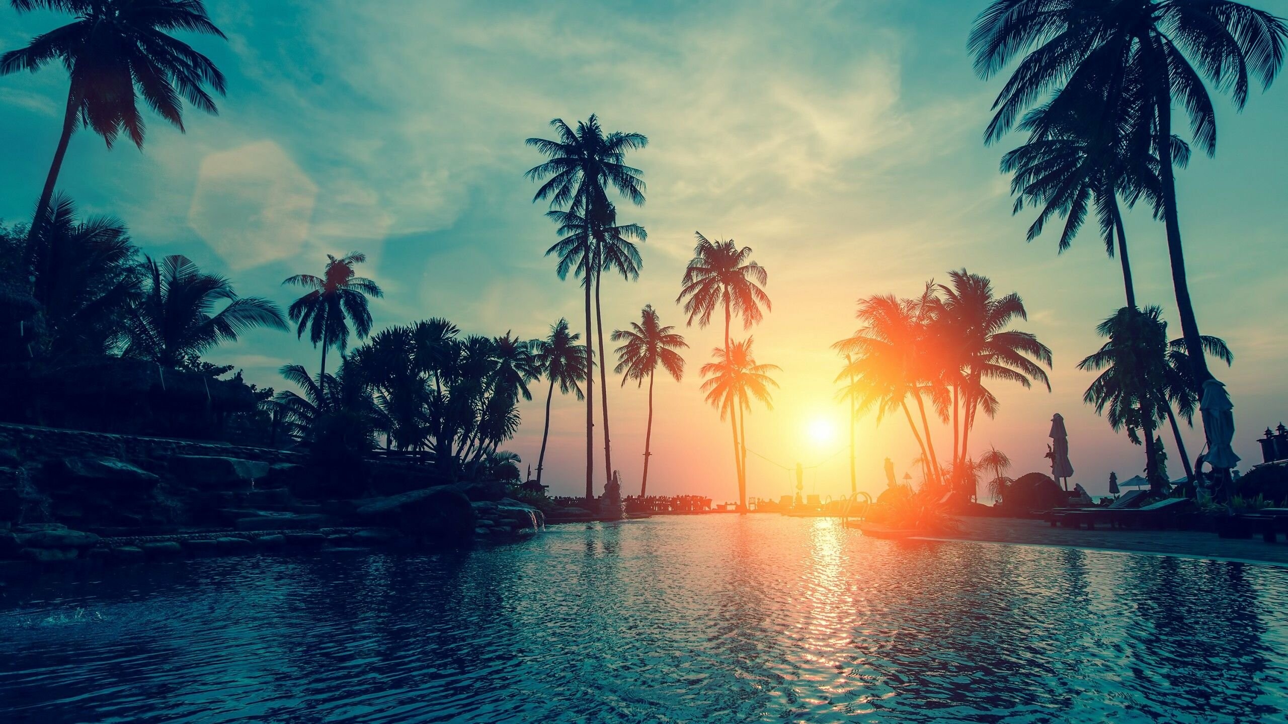 Palm tree screensaver, Tropical vibes, Relaxing atmosphere, Nature's escape, 2560x1440 HD Desktop