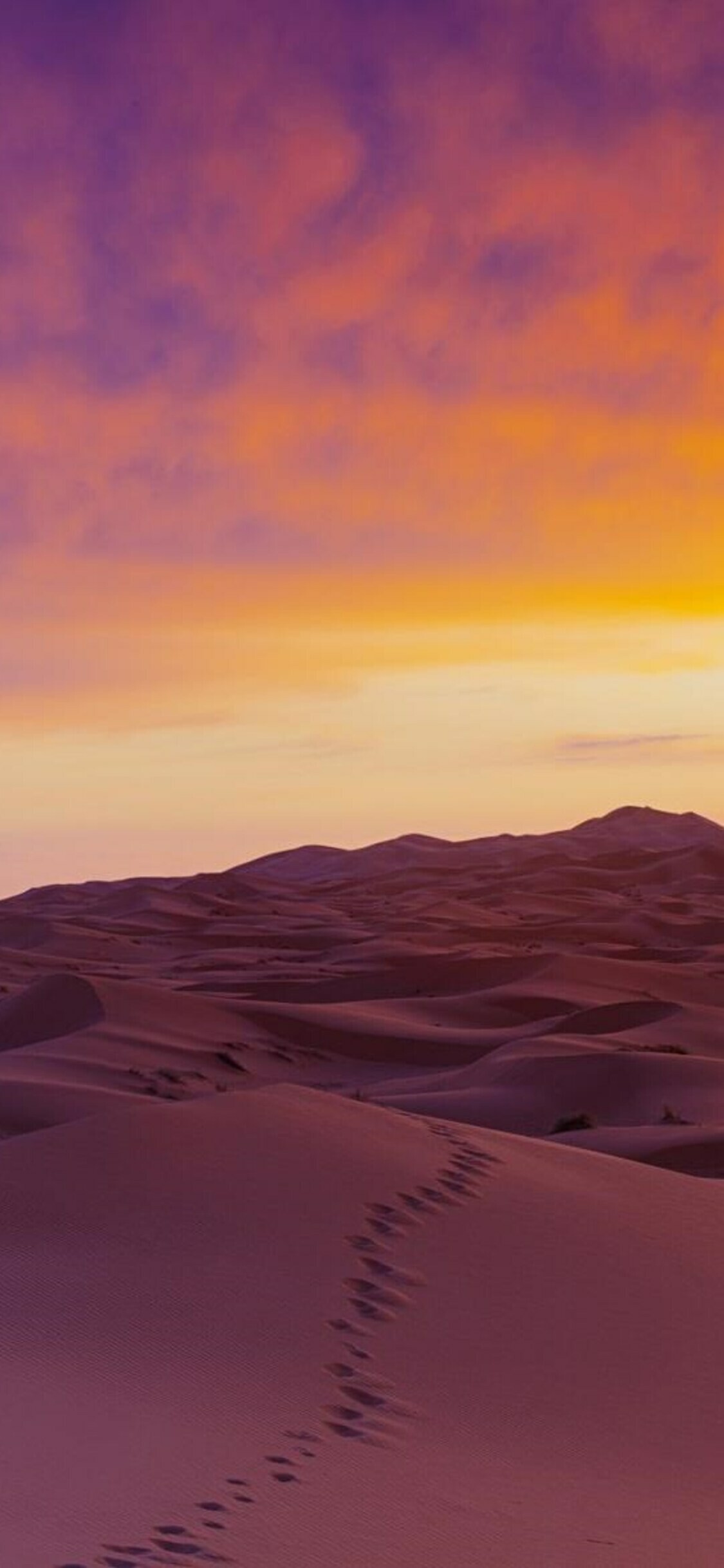 Desert: Sahara, Sand Dunes, Natural landscape. 1130x2440 HD Wallpaper.