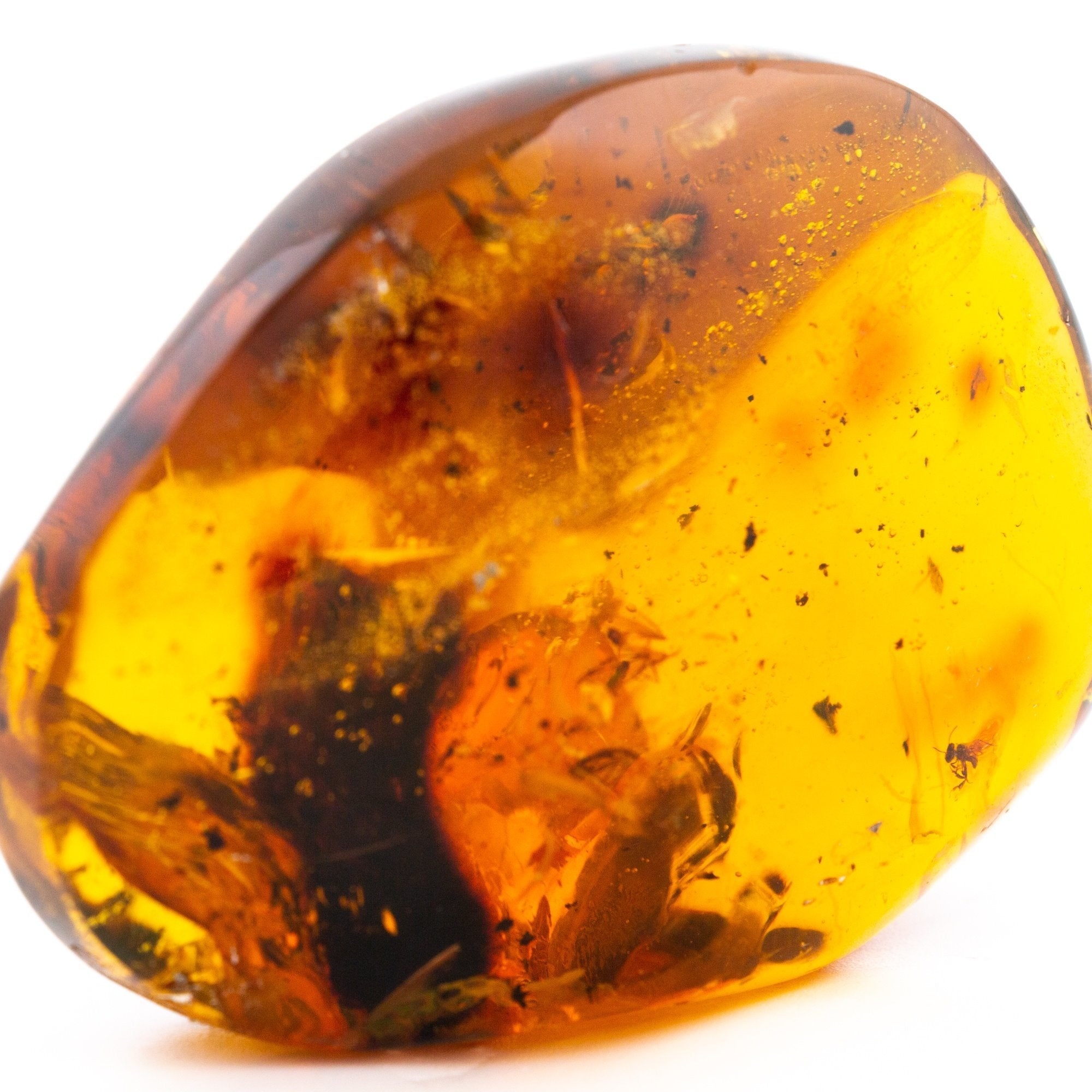 Mexican Amber Mineral Specimen Kingdom Jewelry 2000x2000