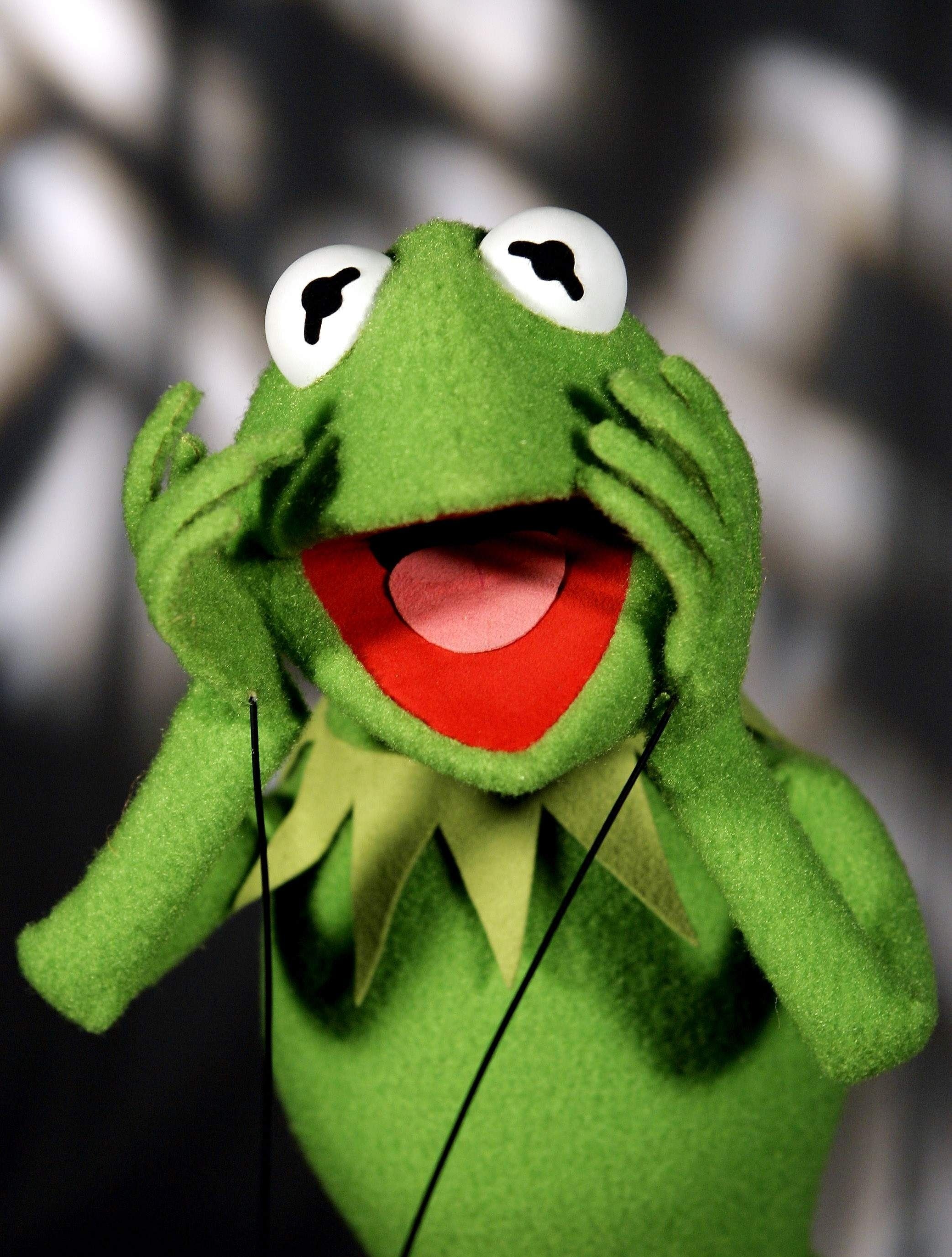 Kermit the Frog wallpapers, High definition images, Colorful backgrounds, Fans' choice, 2090x2760 HD Phone