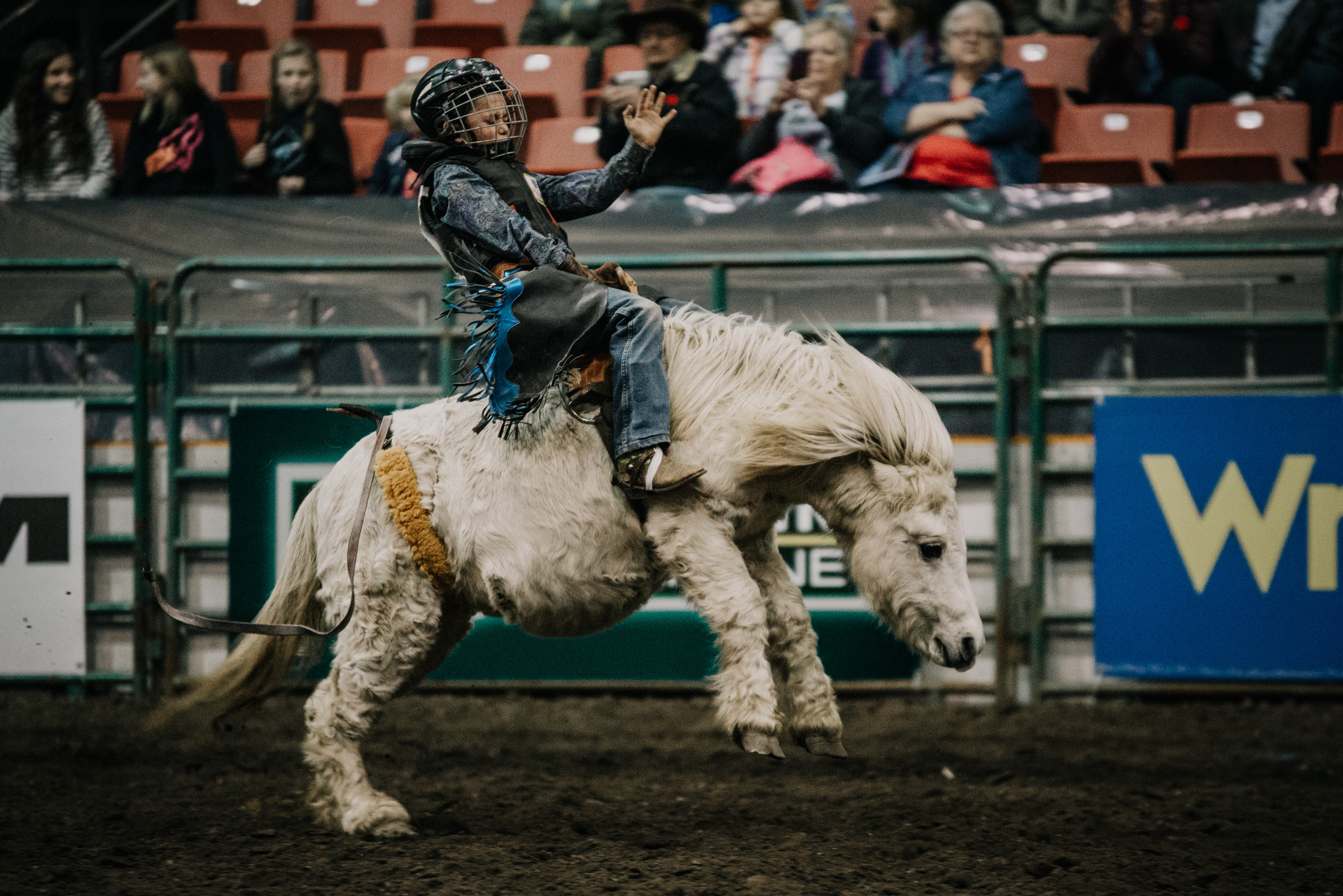 Rodeo: Cowgirl, Bucking horse, National Finals Rodeo, Bronc riding, Bronco. 2050x1370 HD Background.