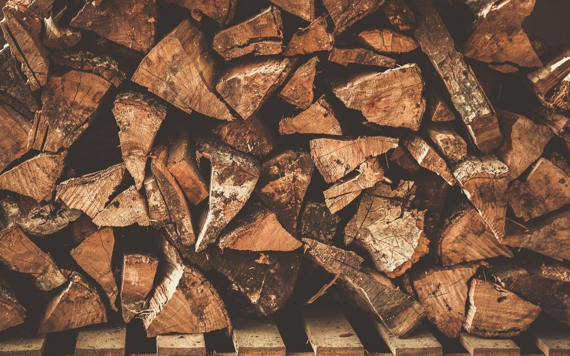 Lumberjack: Wood industry, Timber harvesting, Logging, Firewood gathering. 1920x1200 HD Wallpaper.