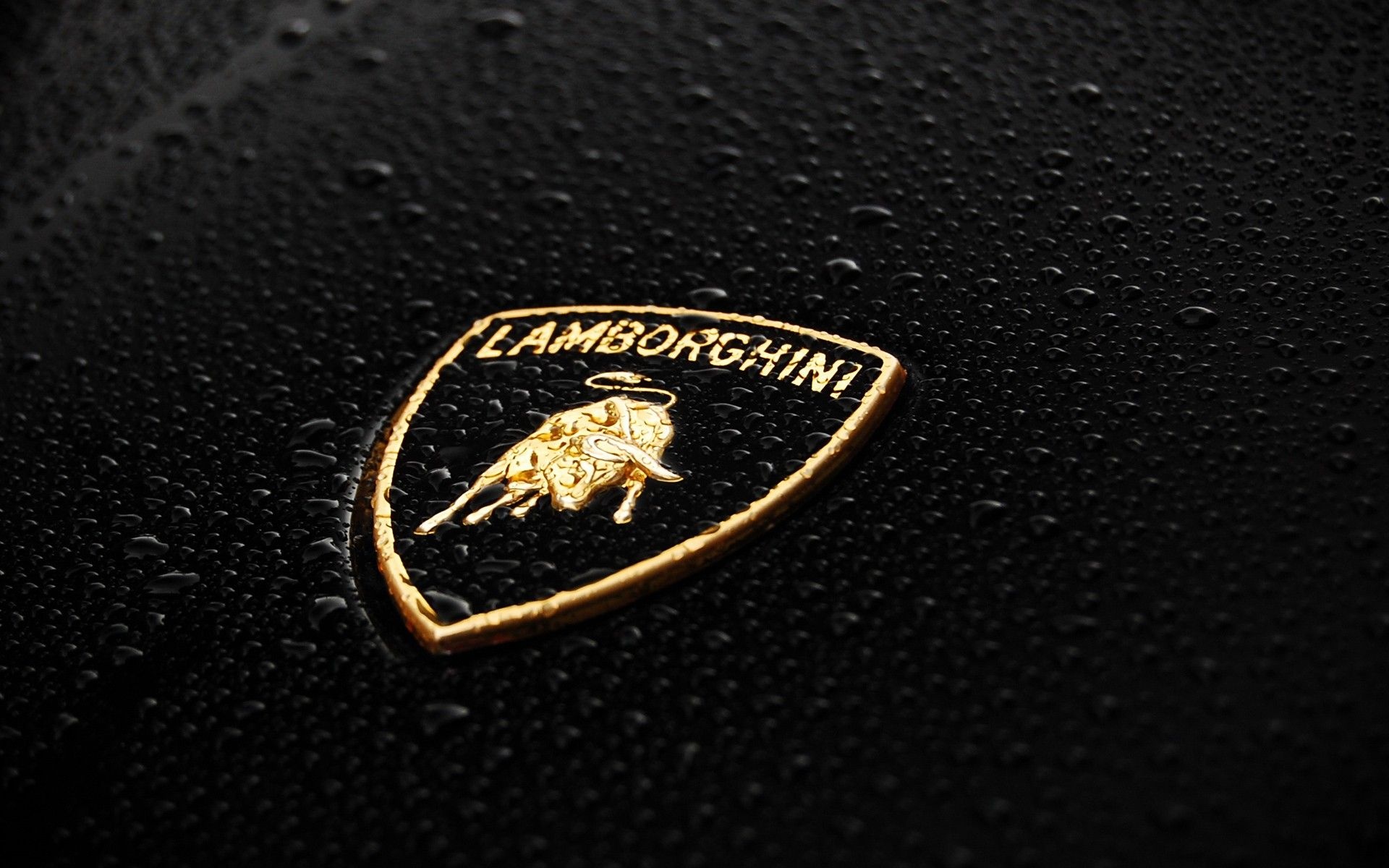 Lamborghini Logo, Stunning backgrounds, Exquisite design, Premium image, 1920x1200 HD Desktop