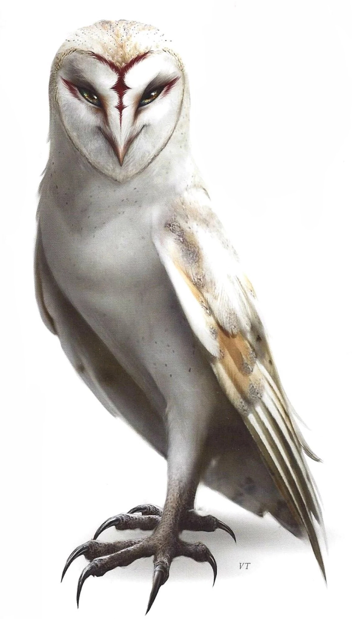 Legend of the Guardians: The Owls of Ga'Hoole, Enigmatic character, Fascinating movie, Majestic owls, 1140x2000 HD Phone