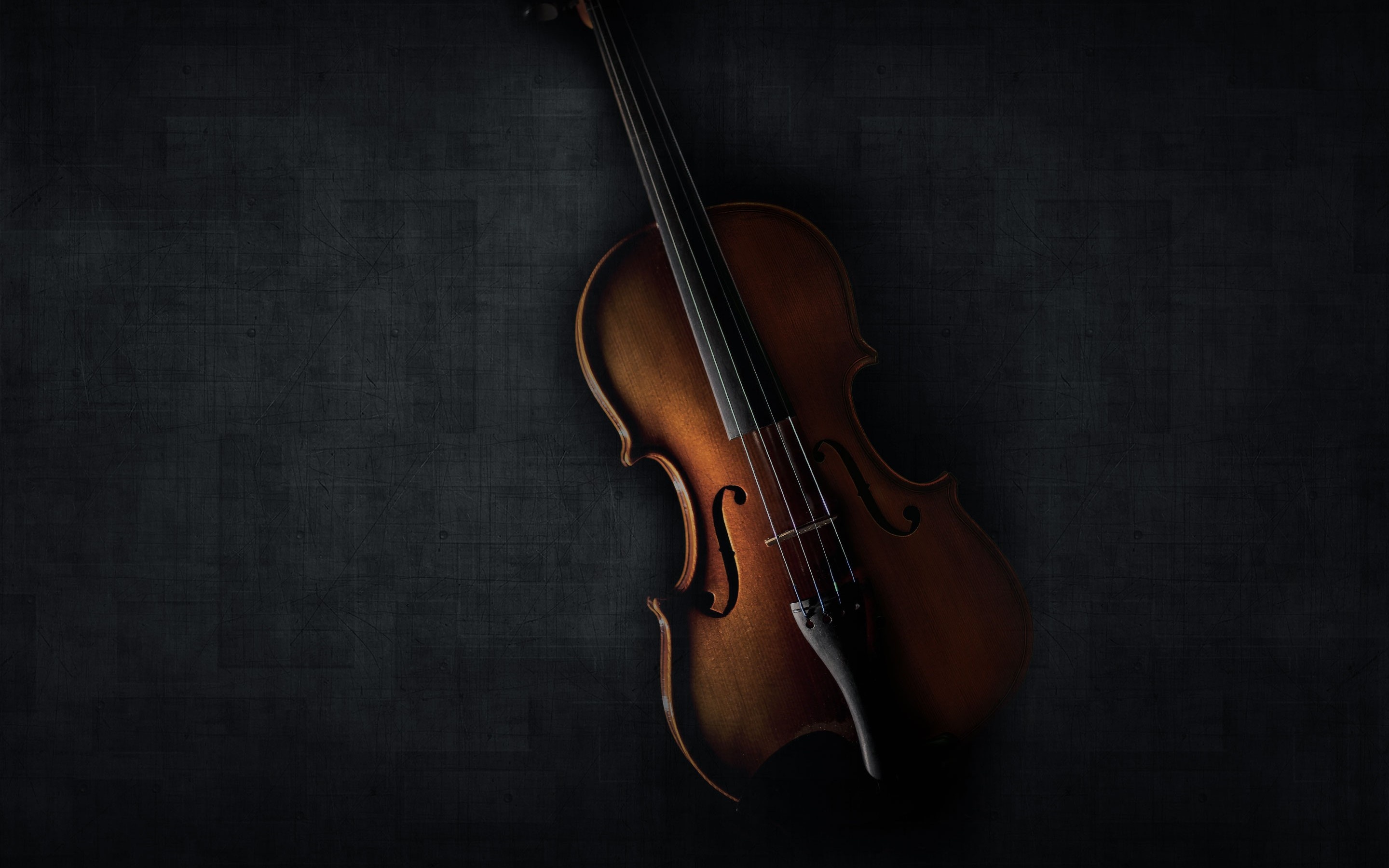 Violin: Spruce Belly, Maple Ribs And Back, A Soundpost, A Hollow Wooden Body. 2880x1800 HD Wallpaper.