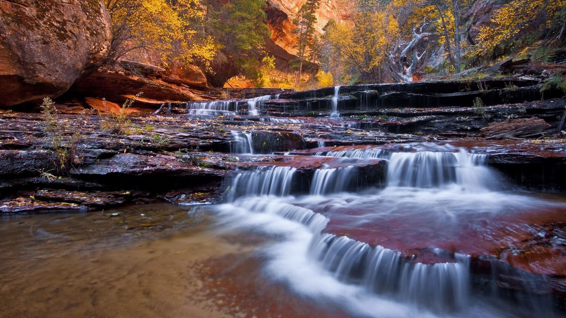 Zion National Park, Small creek, Beautiful scenery, Utah, 1920x1080 Full HD Desktop