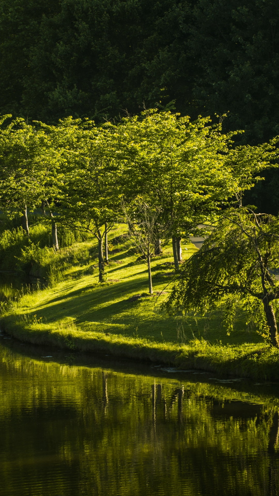 Virginia park lake, Nature trees, Tranquil atmosphere, Serenity, 1080x1920 Full HD Phone