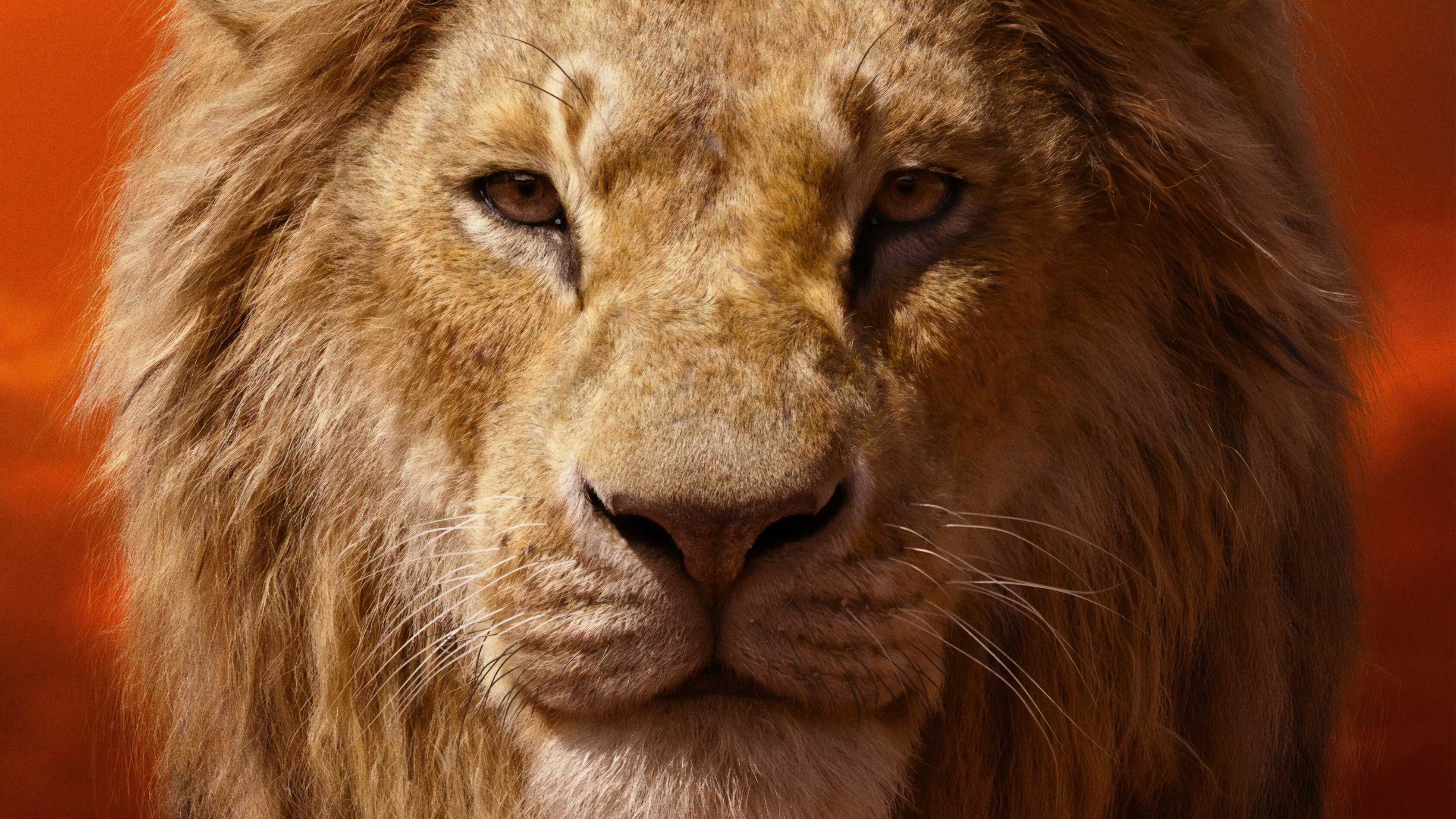 The Lion King: Simba, A fictional character and the protagonist of Disney's franchise. 3380x1900 HD Background.