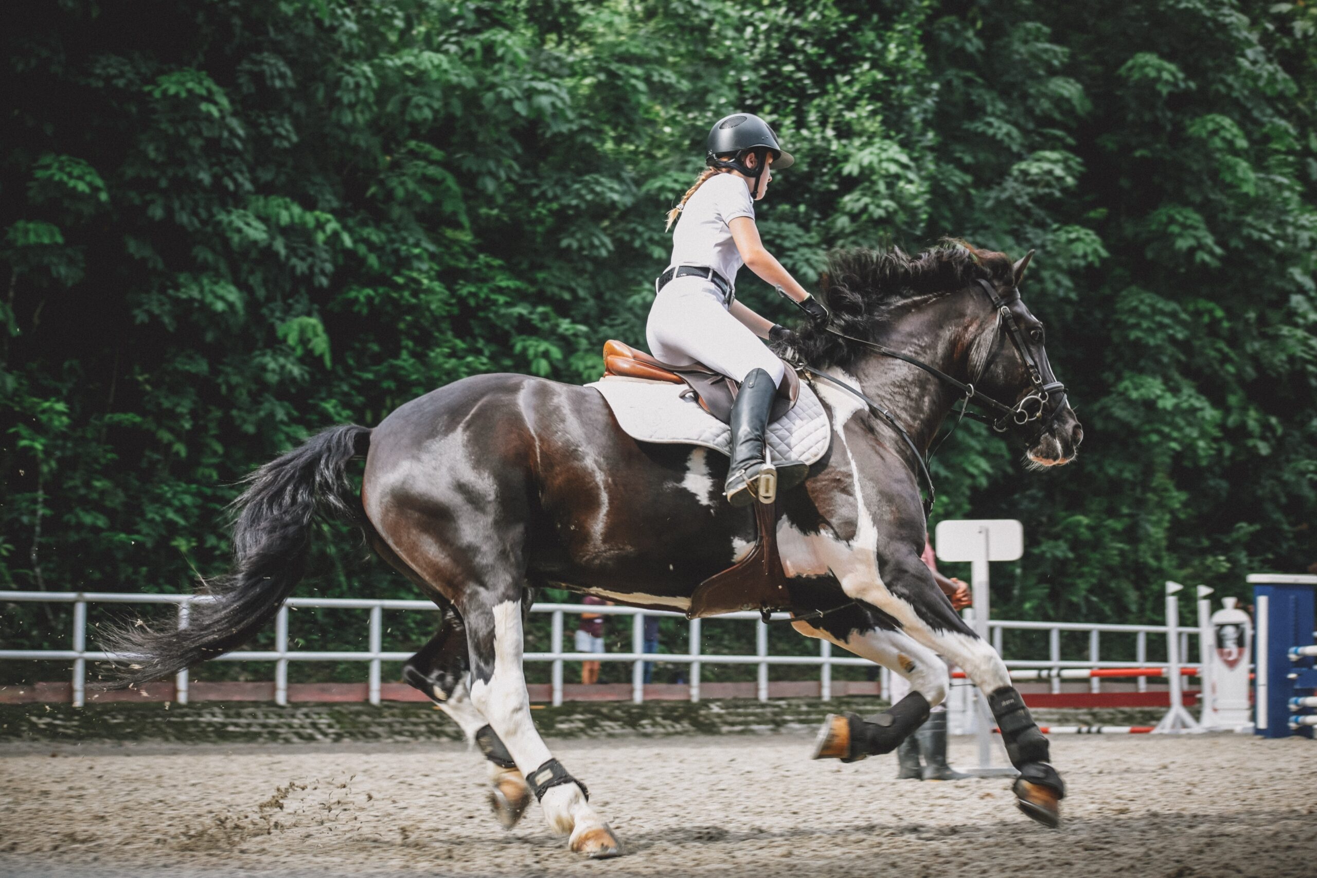 Equitation: Jessica von Bredow-Werndl, A German Olympic dressage rider, The 2020 Summer Olympics individual champion. 2560x1710 HD Wallpaper.