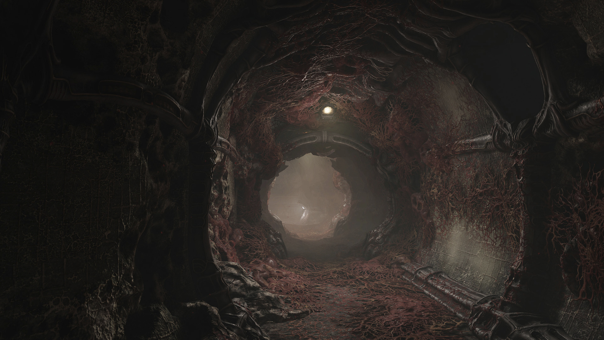 Scorn (Game): The player fighting a monstrous creature in tunnels, Oppressive corridors. 2050x1160 HD Wallpaper.
