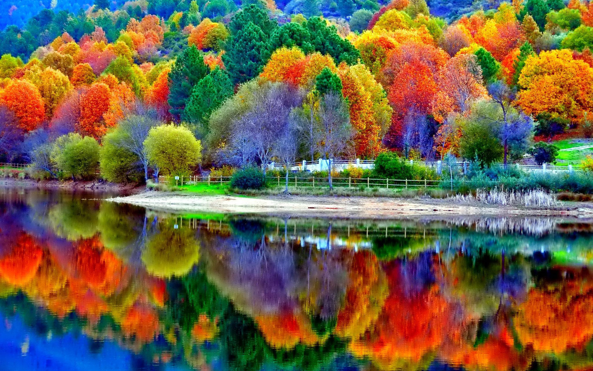Beautiful autumn lake, Serene scenery, Captivating wallpaper, Nature's beauty, 1920x1200 HD Desktop