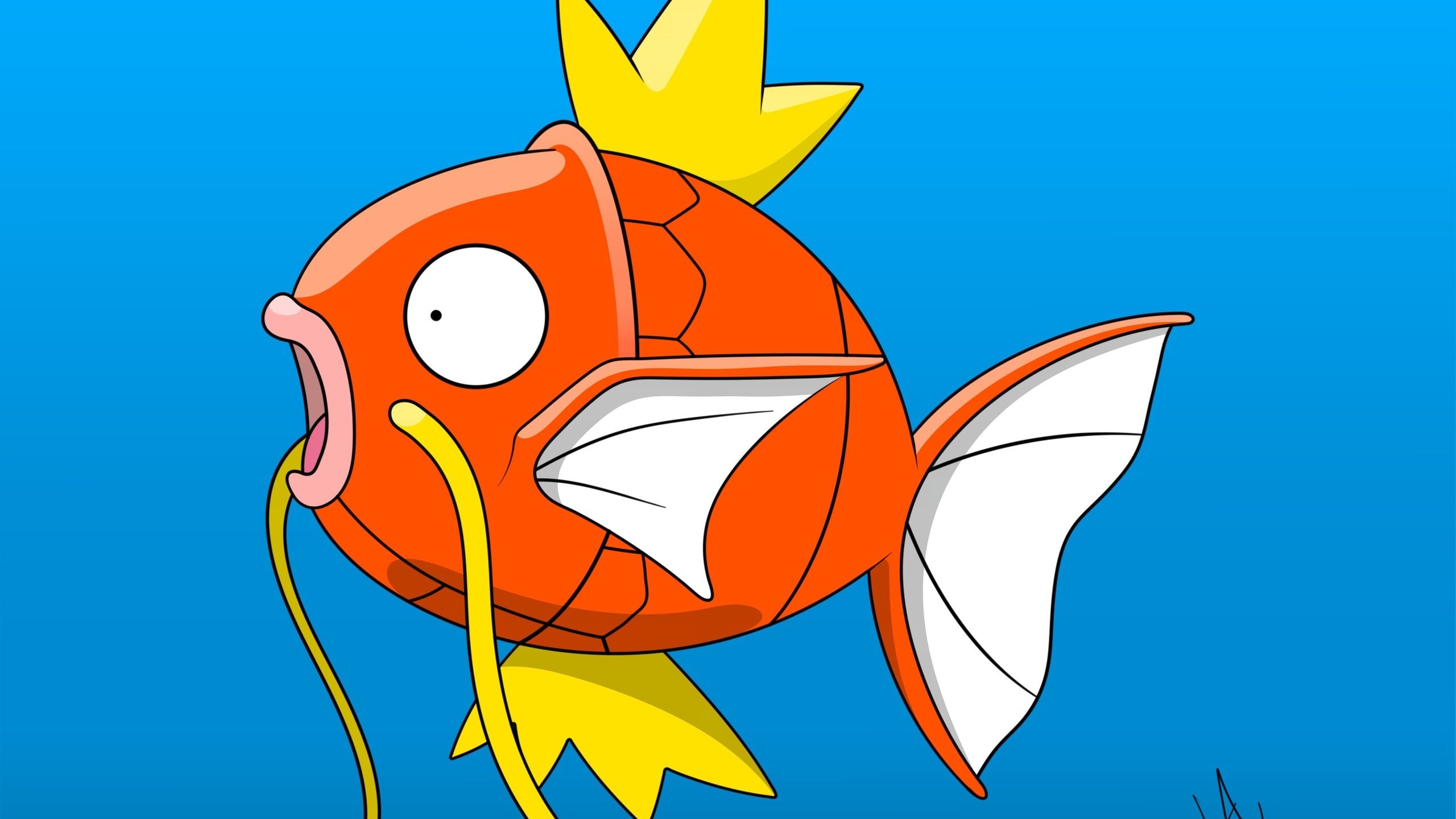 Magikarp anime, Funny wallpapers, Cute and lovable, Underdog story, 2560x1440 HD Desktop