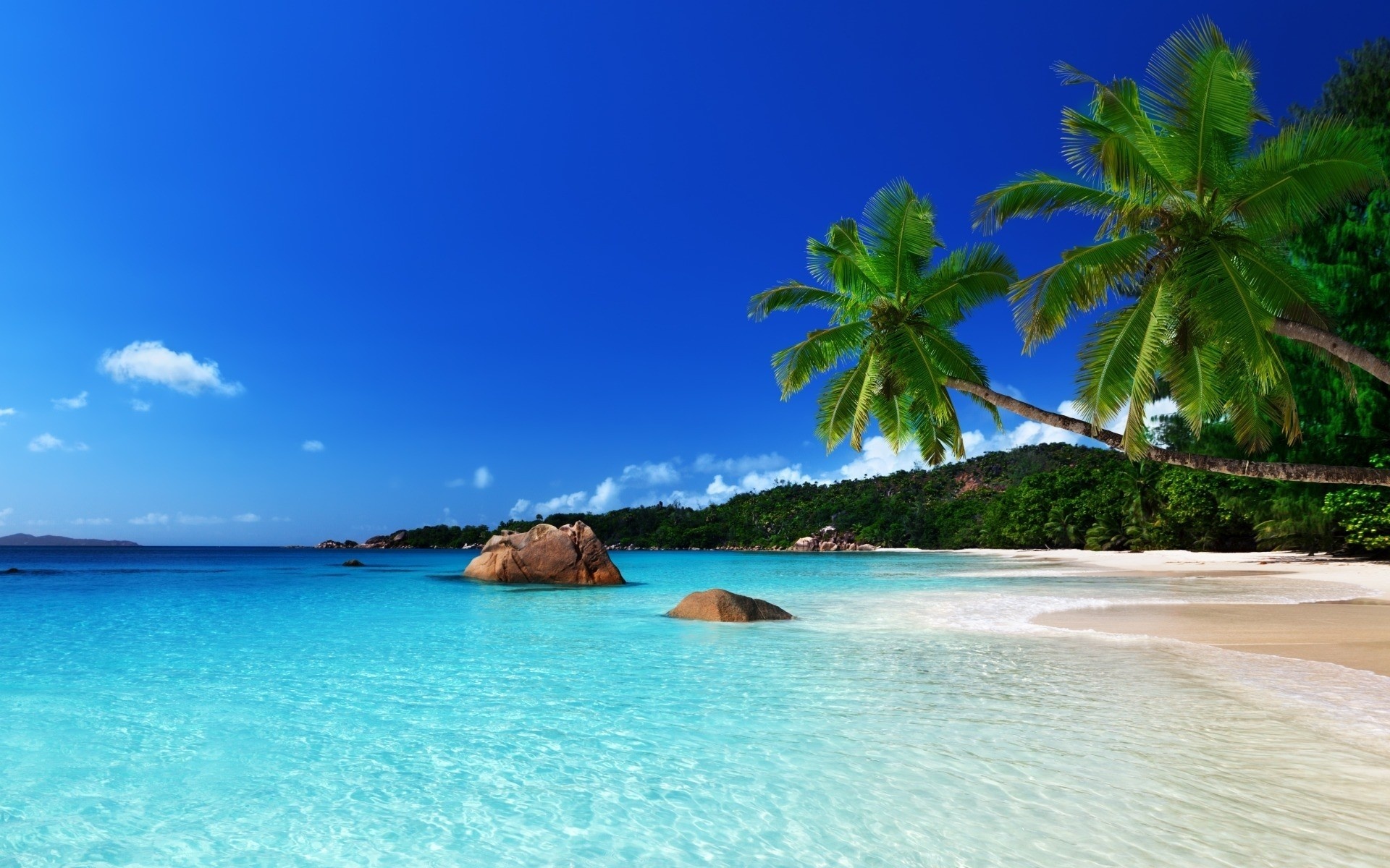 Tropical beach paradise, Vibrant blue waters, Palm tree haven, Beach bliss, 1920x1200 HD Desktop