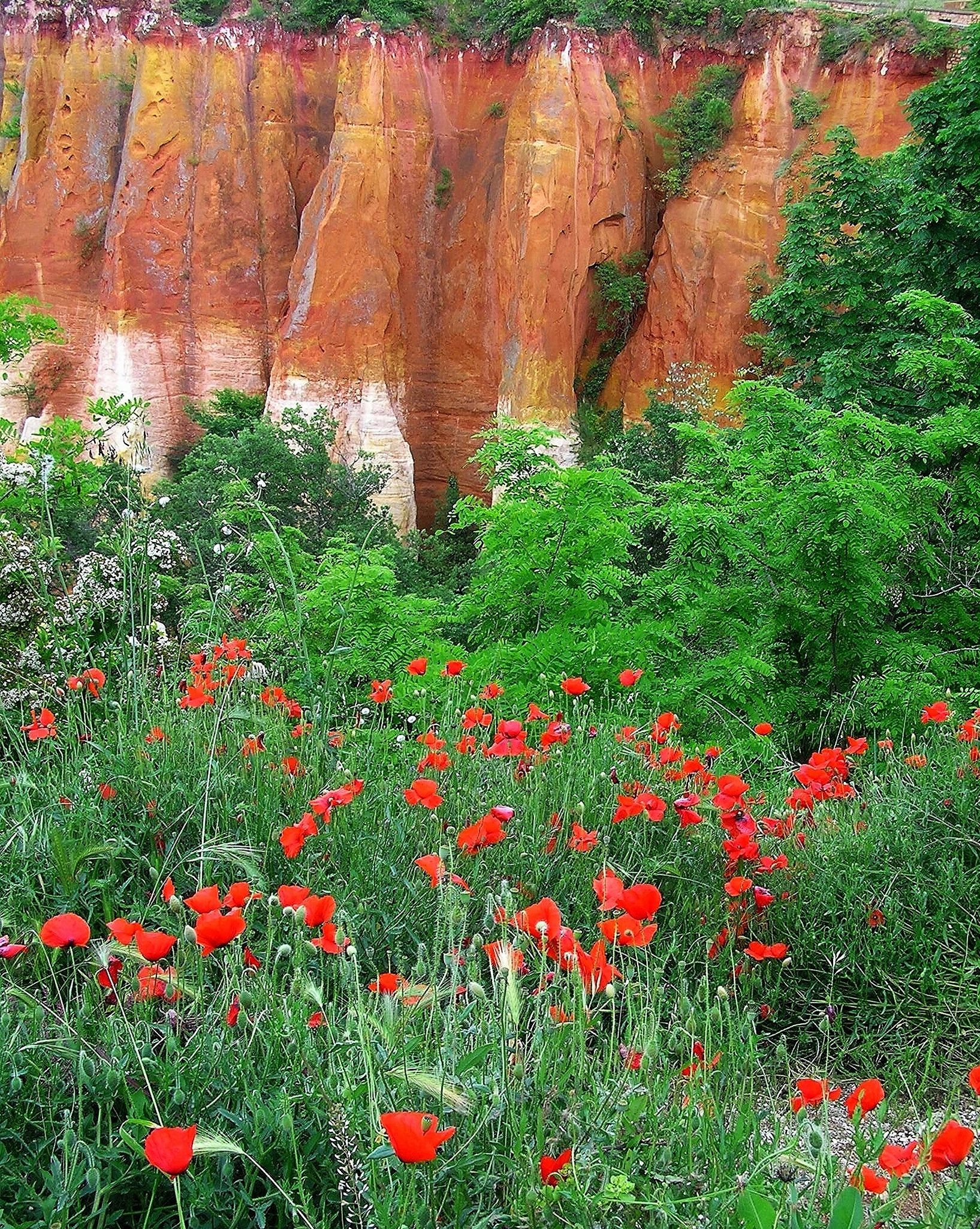 Luberon Regional Nature Park, Roussillon, Provence, Travels, 1640x2050 HD Handy