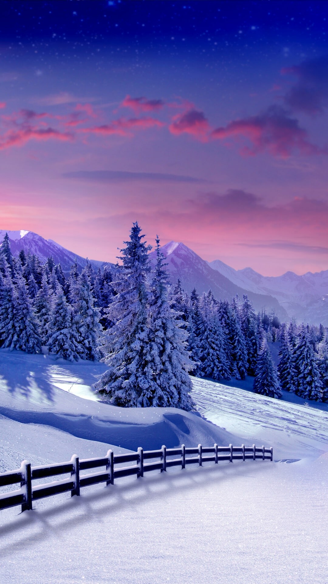Winter: One of the four seasons, Snowbound territories, Snowy pine. 1080x1920 Full HD Wallpaper.