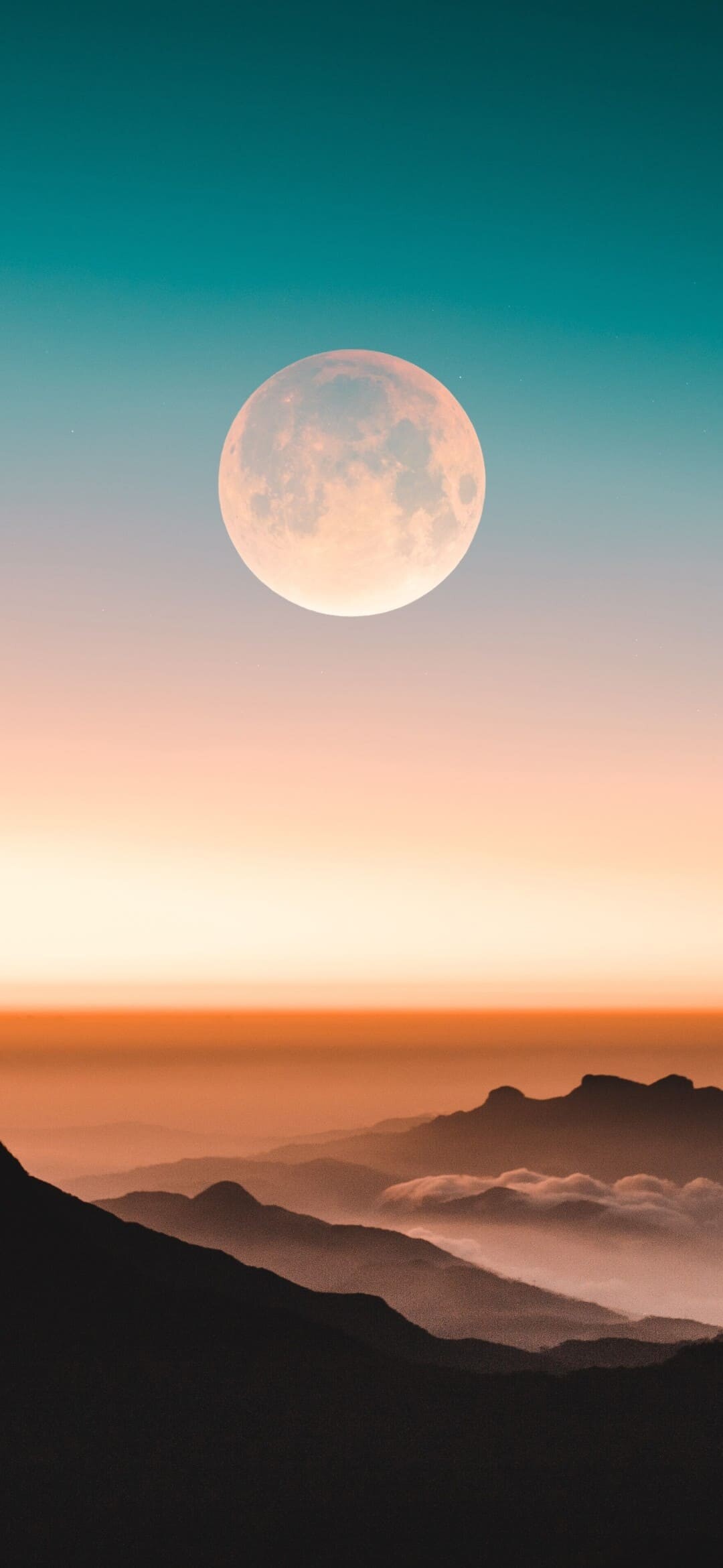 Moon: A celestial body that orbits a planet, Natural environment. 1080x2340 HD Wallpaper.