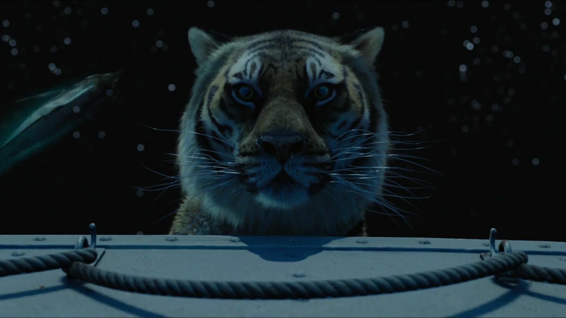Life of Pi: The film's musical score was composed by Mychael Danna, who previously wrote the music to Lee's films The Ice Storm and Ride with the Devil. 1920x1080 Full HD Background.