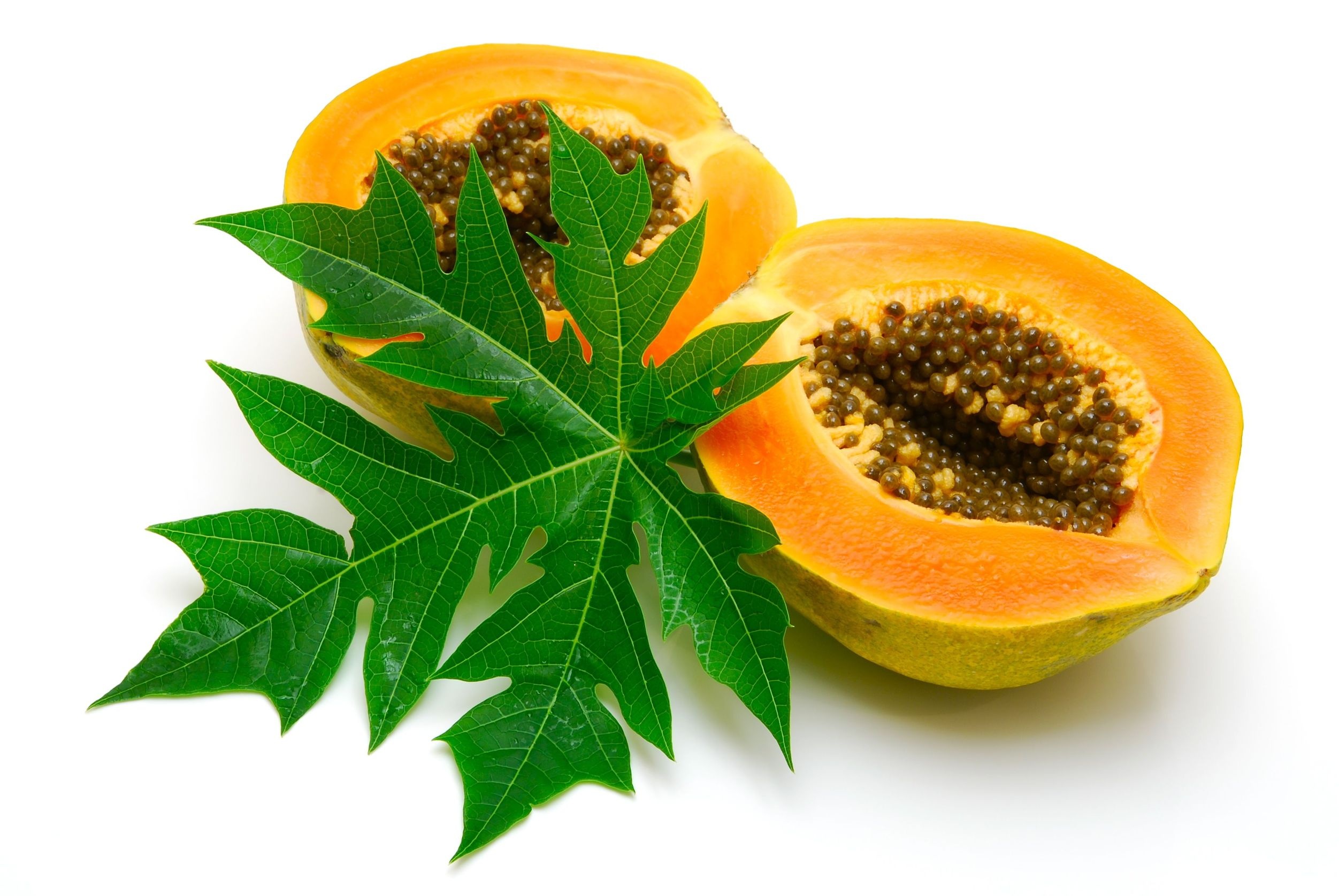 Papaya: A delicious fruit that is best enjoyed ripe. 2510x1680 HD Background.