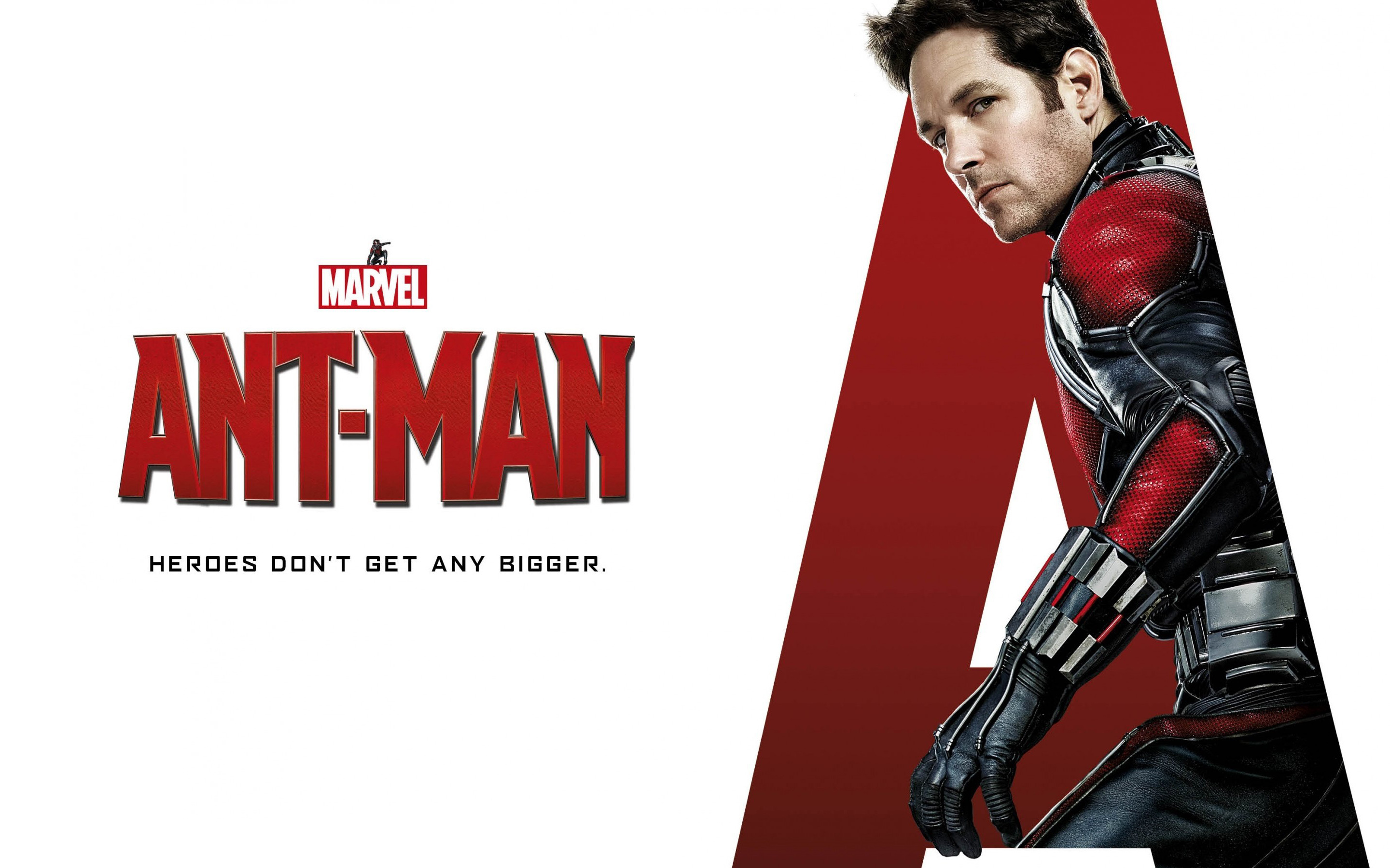 Paul Rudd: Was cast as Andy in a 2001 comedy film, Wet Hot American Summer, Ant-Man. 2880x1800 HD Background.
