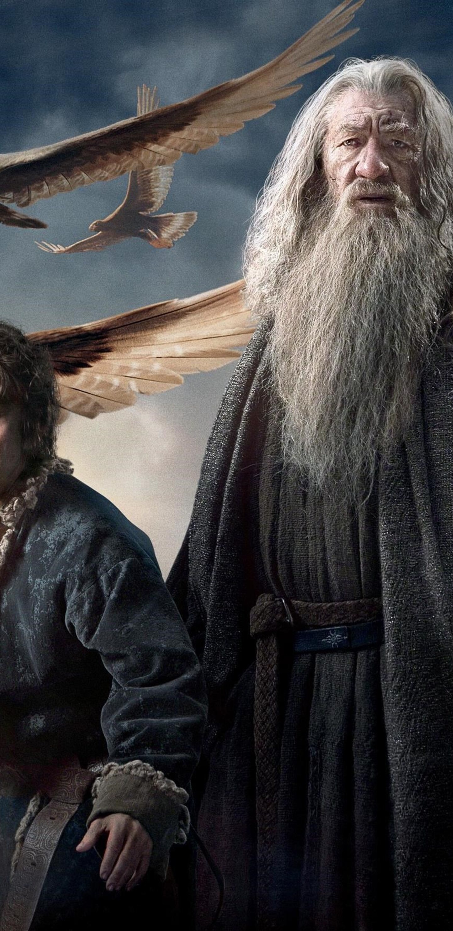 Gandalf, Bilbo Baggins, Hobbit trilogy, Galaxy Note wallpapers, 1440x2960 HD Phone
