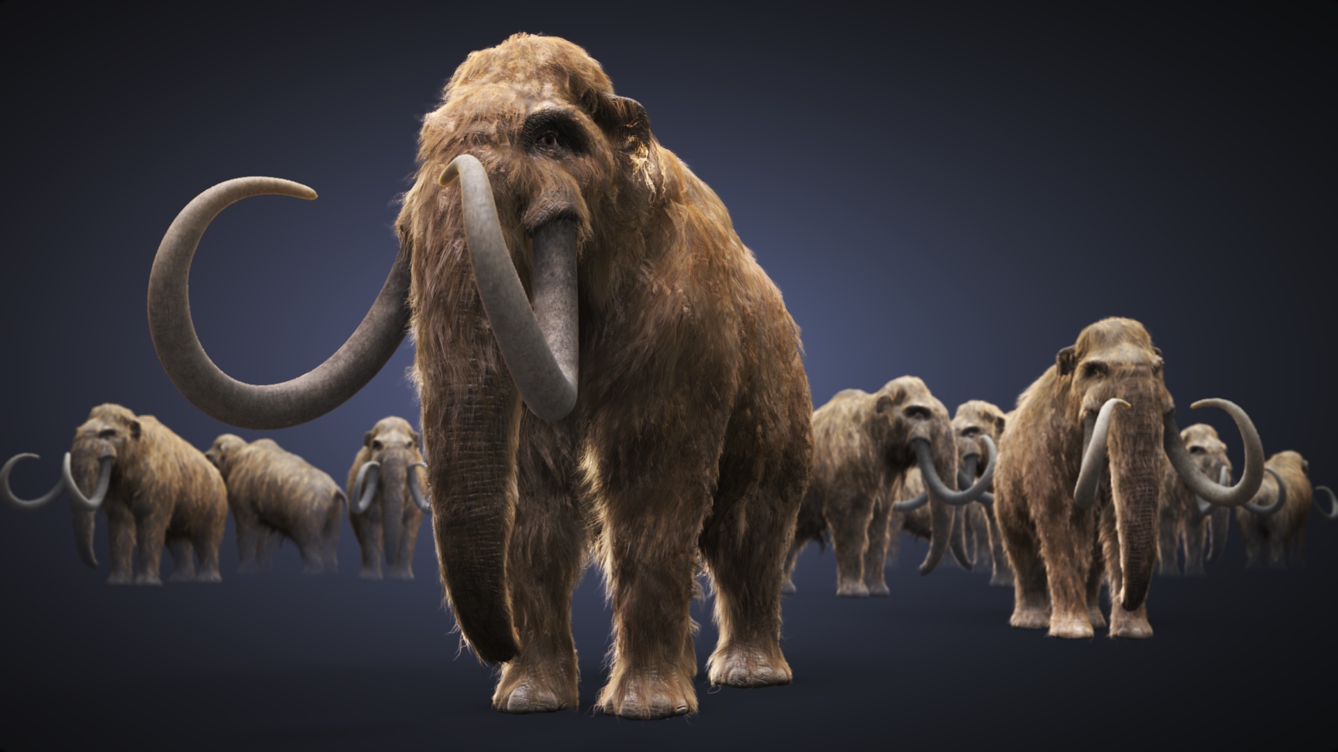 10 mammoth wallpapers, Top free mammoth, Free mammoth backgrounds, Mammoth HD wallpapers, 1920x1080 Full HD Desktop