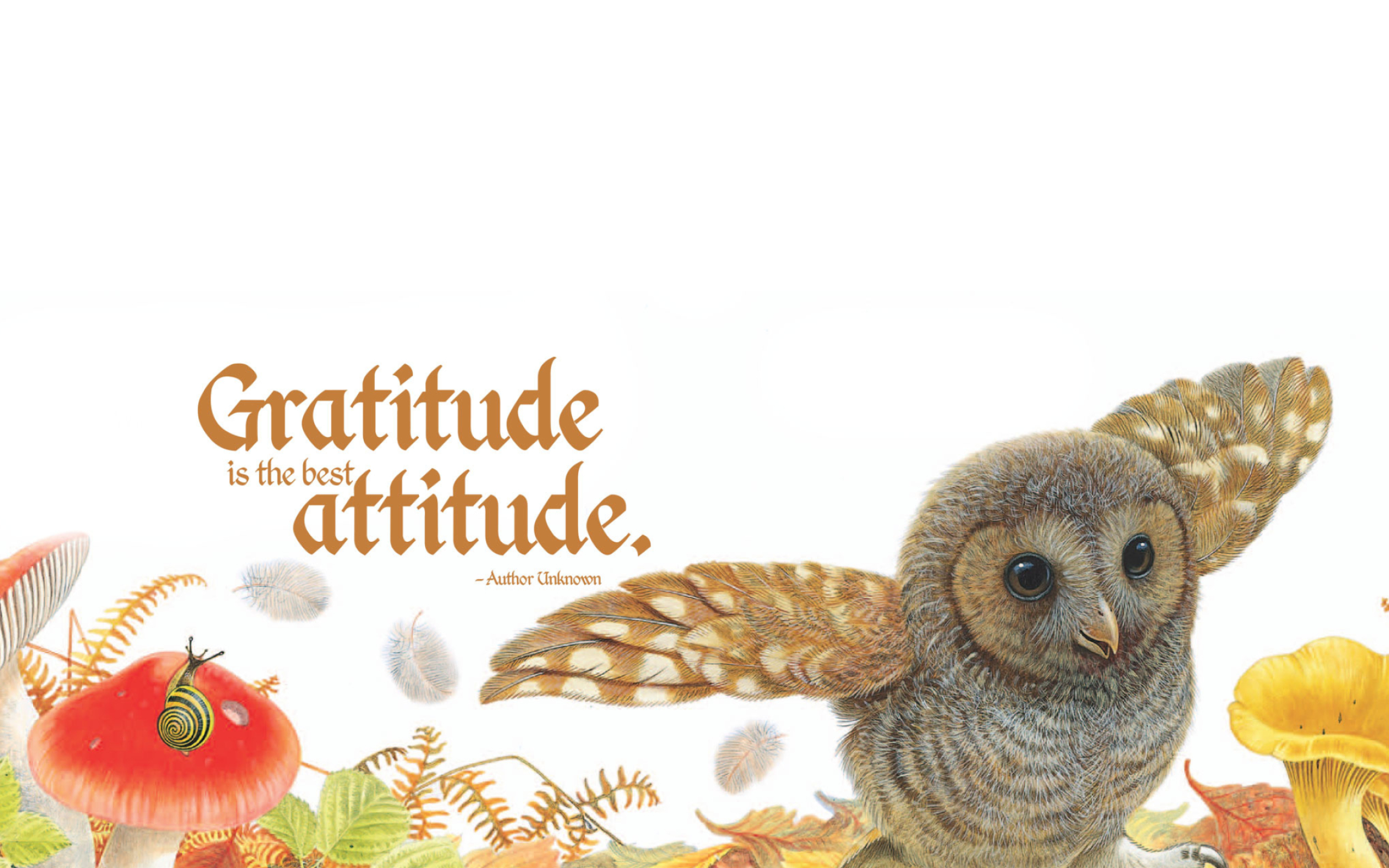 Gratitude: The best attitude, The feeling of appreciation, Personal slogan. 2520x1580 HD Wallpaper.