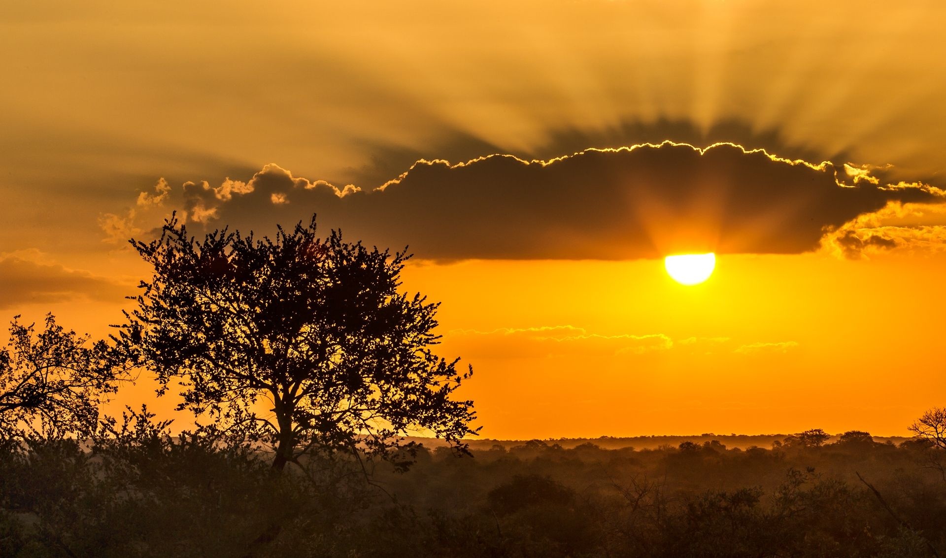 Kruger National Park, Breathtaking sunsets, African wilderness, Golden hour, 1920x1140 HD Desktop