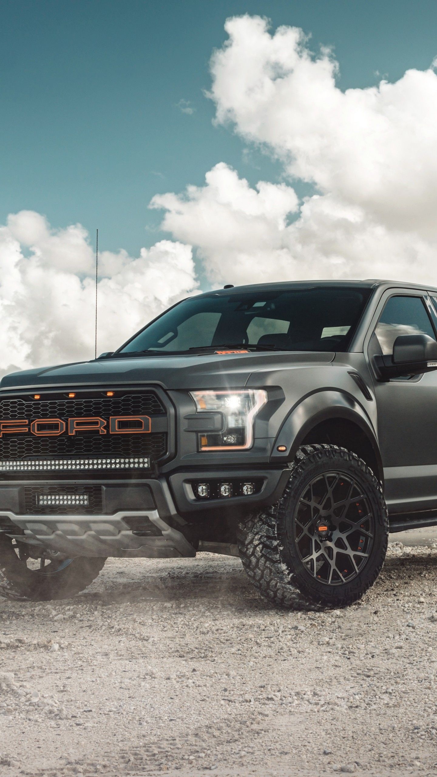 Ford F-150, Black Ford Raptor, Top free, HD backgrounds, 1440x2560 HD Phone