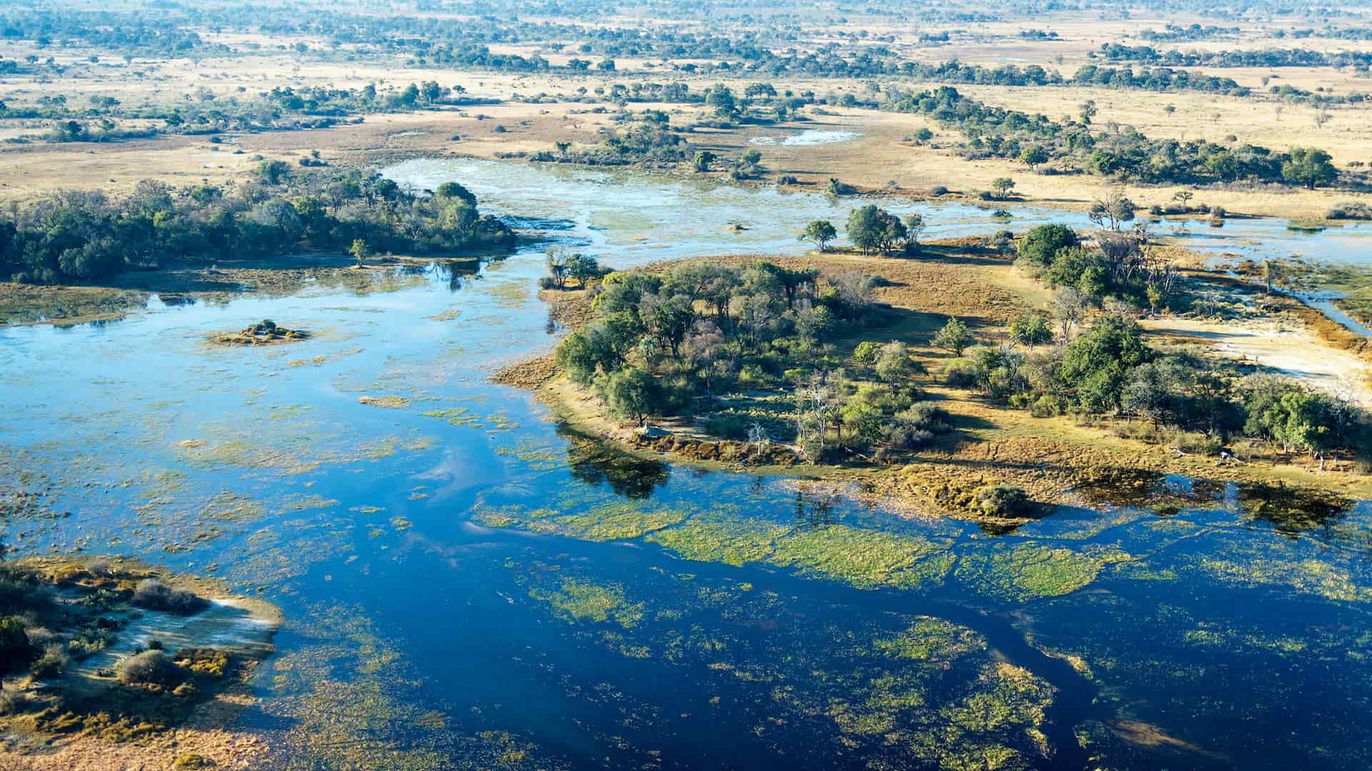 Okavango Delta, Travels, Natural beauty, Wildlife paradise, 1920x1080 Full HD Desktop