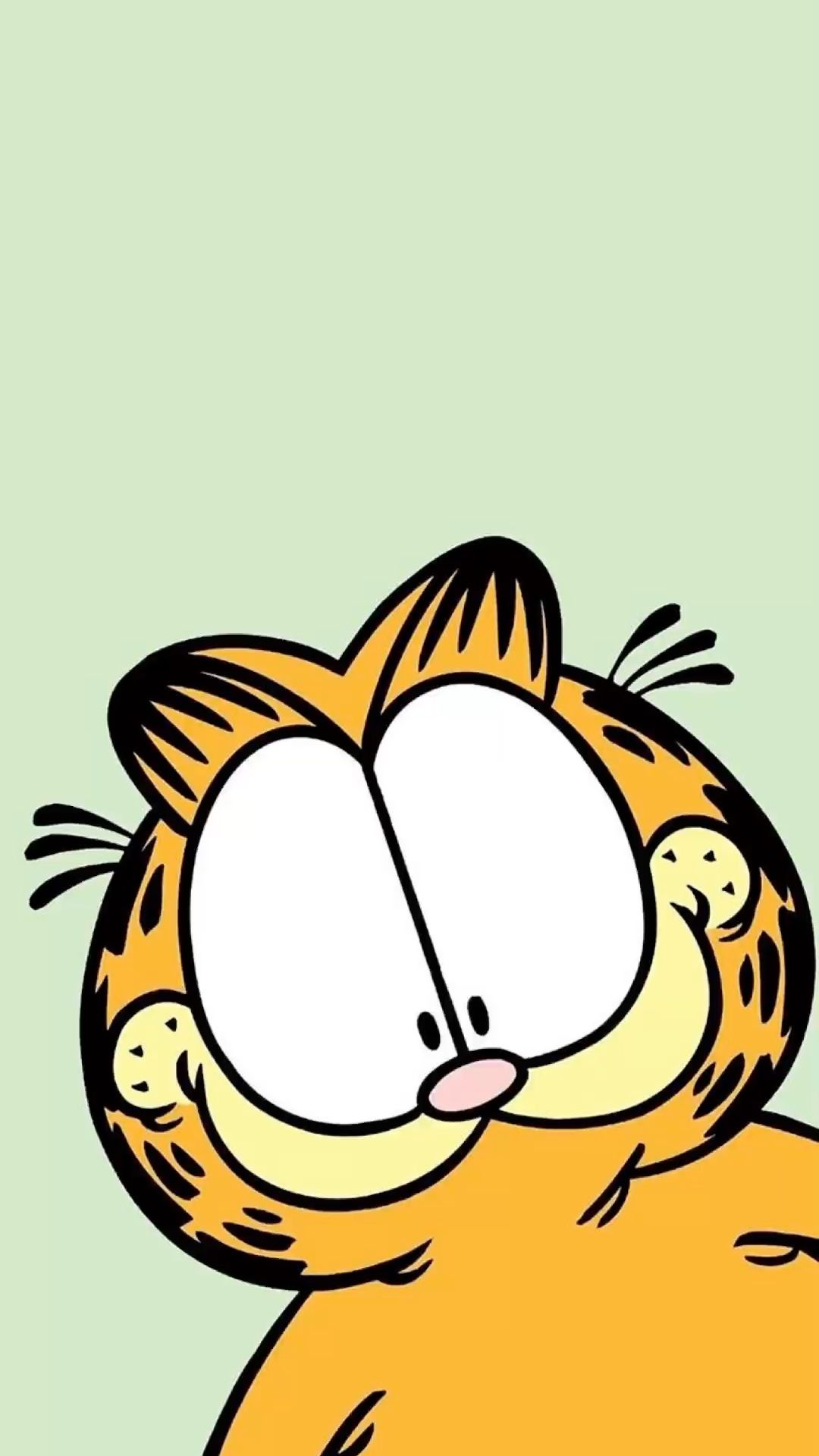 Garfield: A laid-back, arrogant, and utterly sarcastic cat owned by an average man named John Arbuckle. 1080x1920 Full HD Wallpaper.