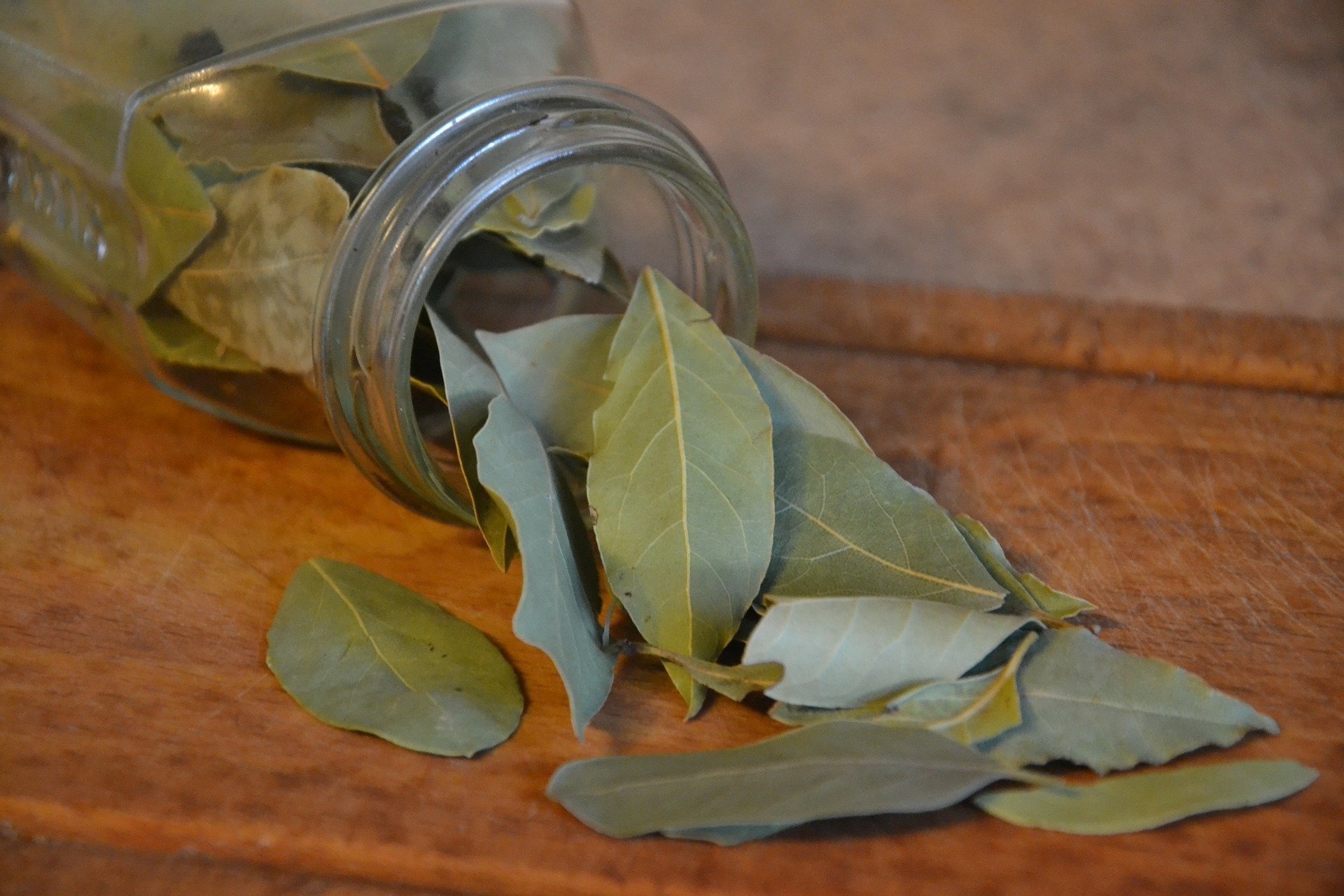 Drying bay leaves, Herbs, Preserving, Cooking, 1920x1280 HD Desktop