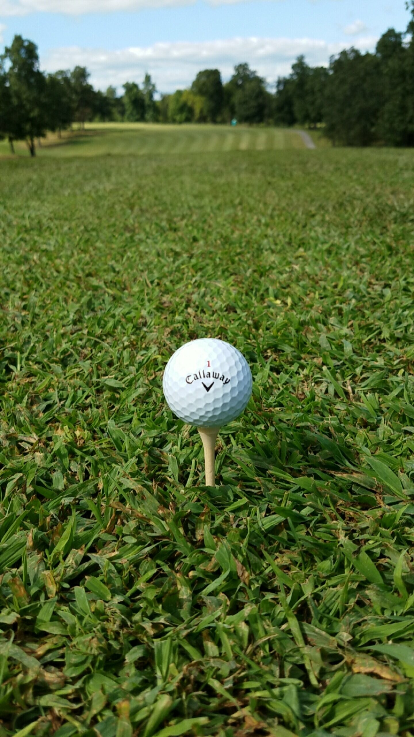 Golf: Game, played for the lowest number of strokes by an individual, known as stroke play. 1440x2560 HD Wallpaper.