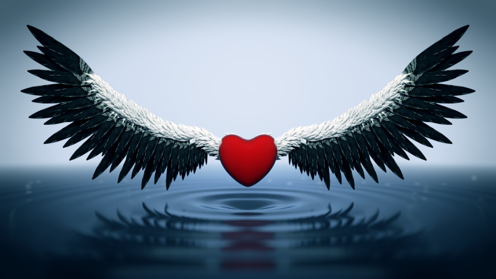 Heart With Wings, Angel heart, Blender artists community, Heavenly design, 1920x1080 Full HD Desktop