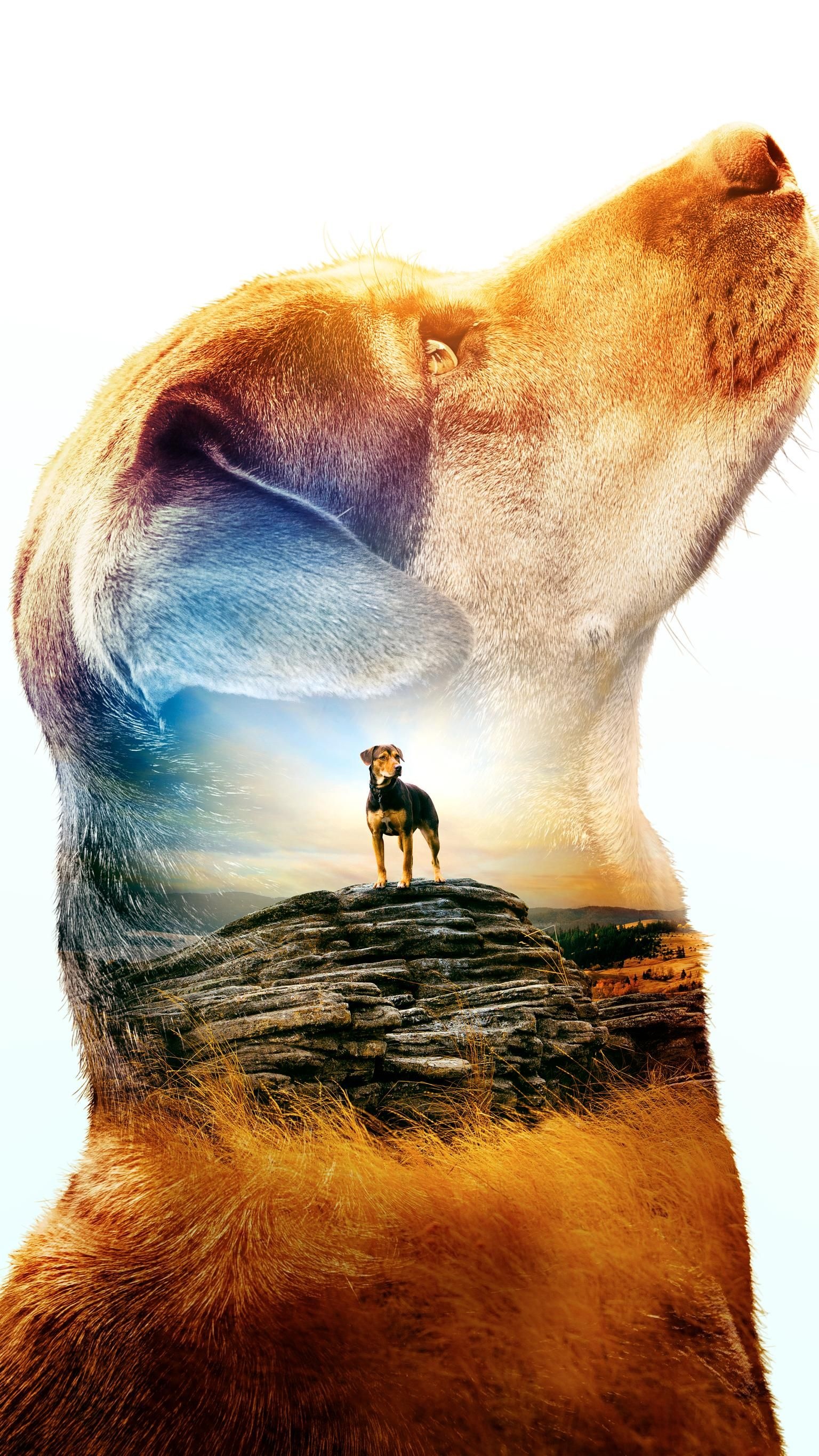 Animal movie recommendations, Heartwarming family films, Movie inspiration, Feel-good stories, 1540x2740 HD Handy