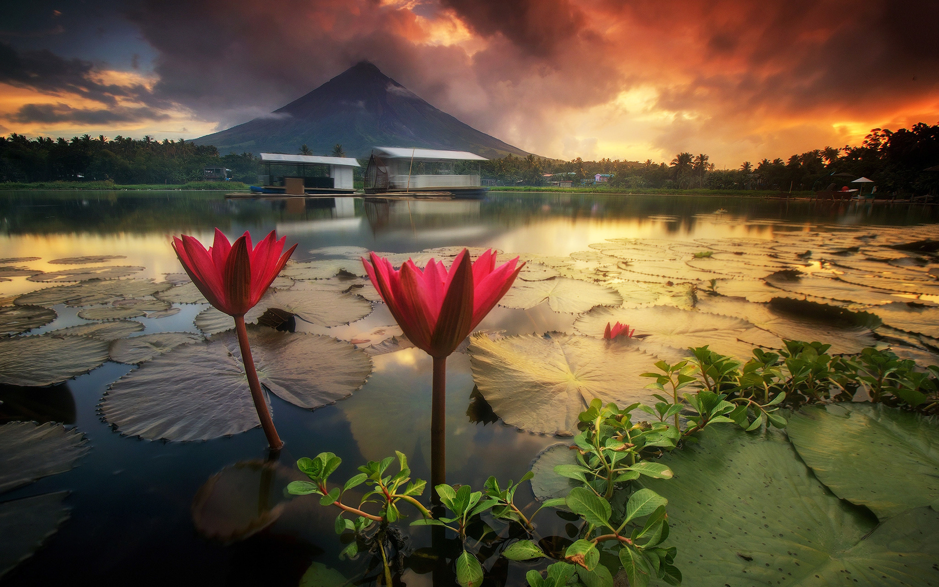 Mesmerizing Mayon Volcano, Sunset beauty, Philippines landscape, HD wallpapers, 1920x1200 HD Desktop