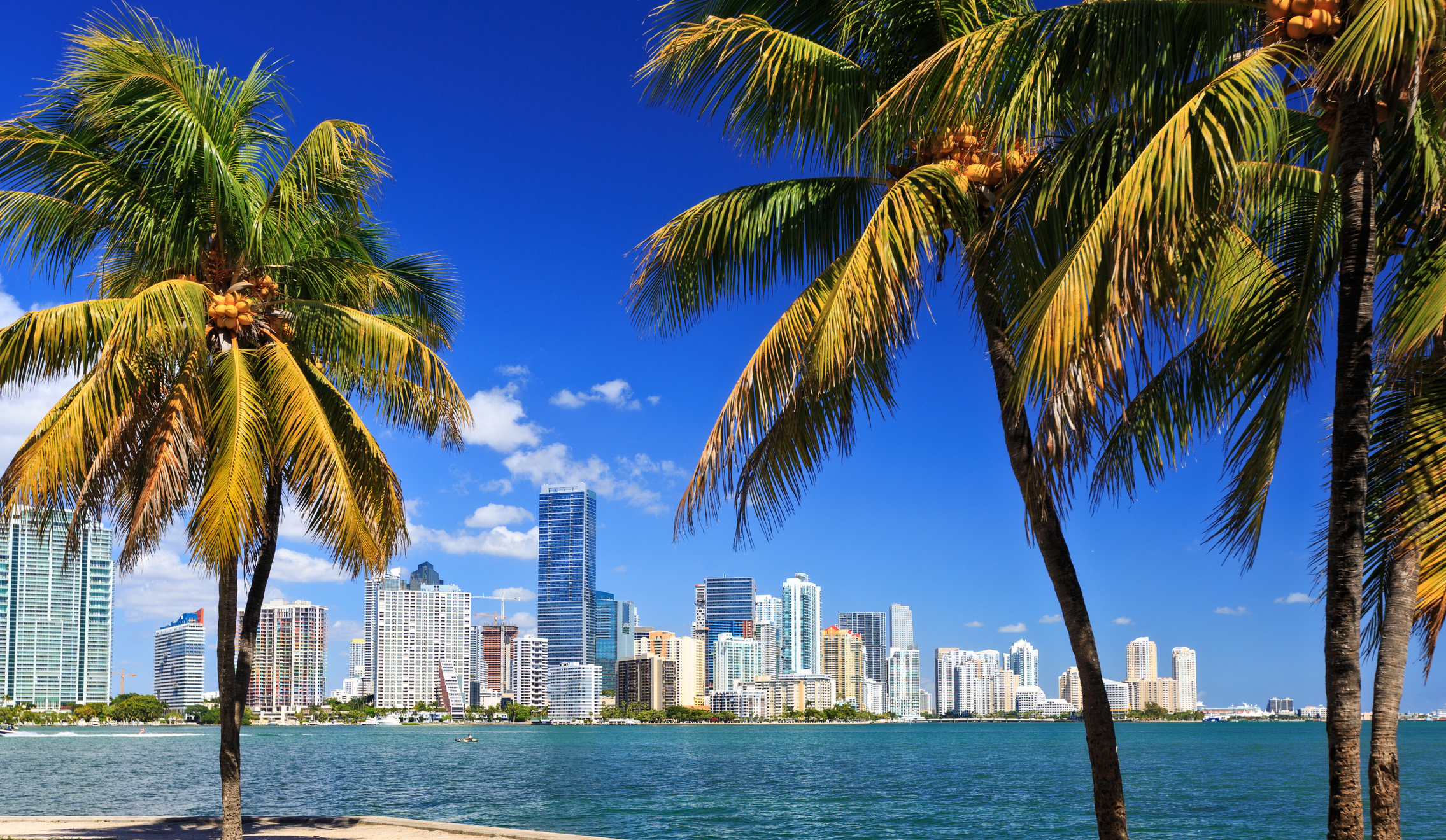 Miami Skyline, Palm trees, Aerial view, 2280x1320 HD Desktop