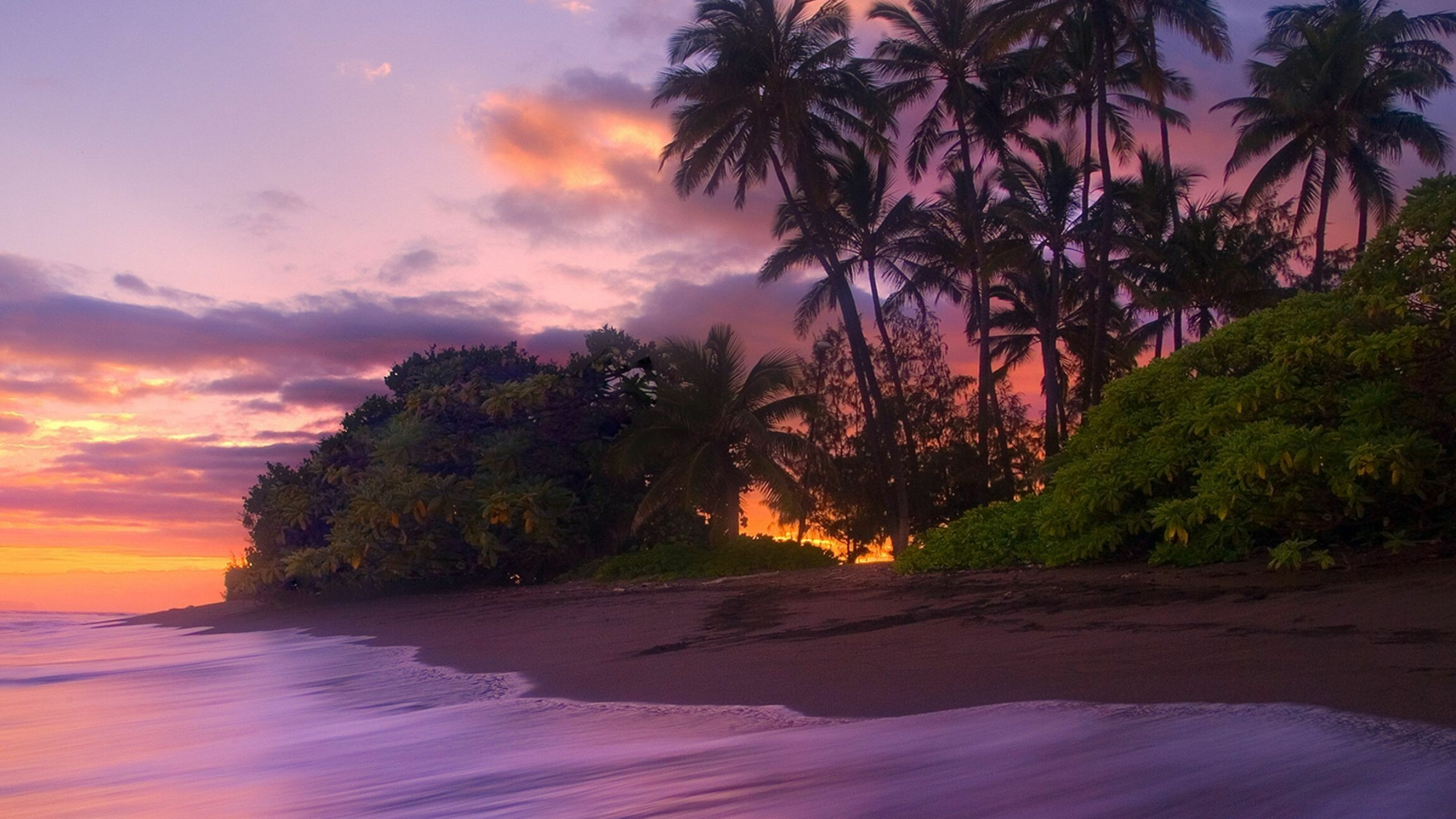 Kauai sunset, Vibrant colors, Tranquil atmosphere, Paradise found, 2560x1440 HD Desktop