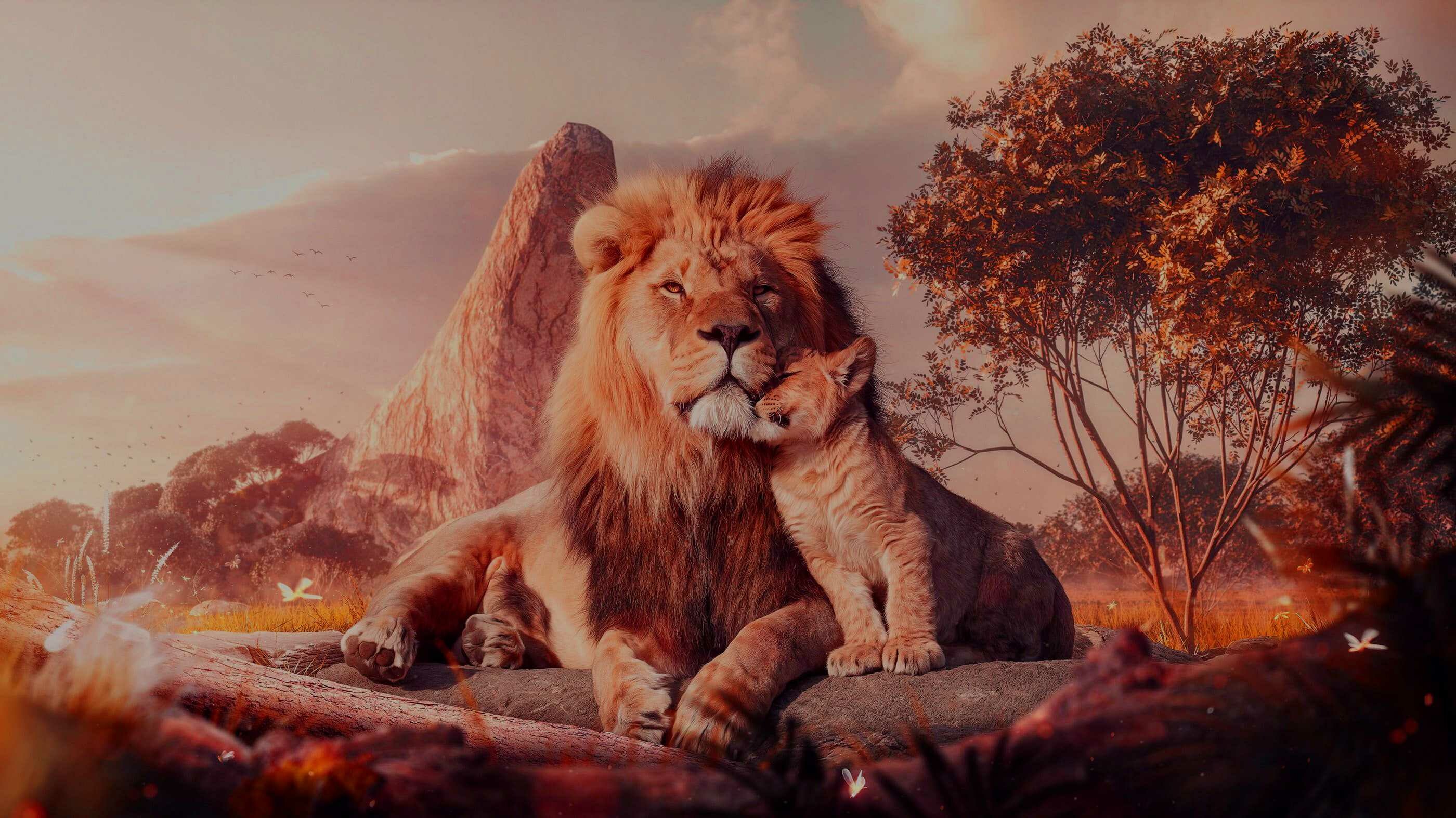 The Lion King: This Disney animated feature follows the adventures of the young lion Simba. 2800x1580 HD Background.