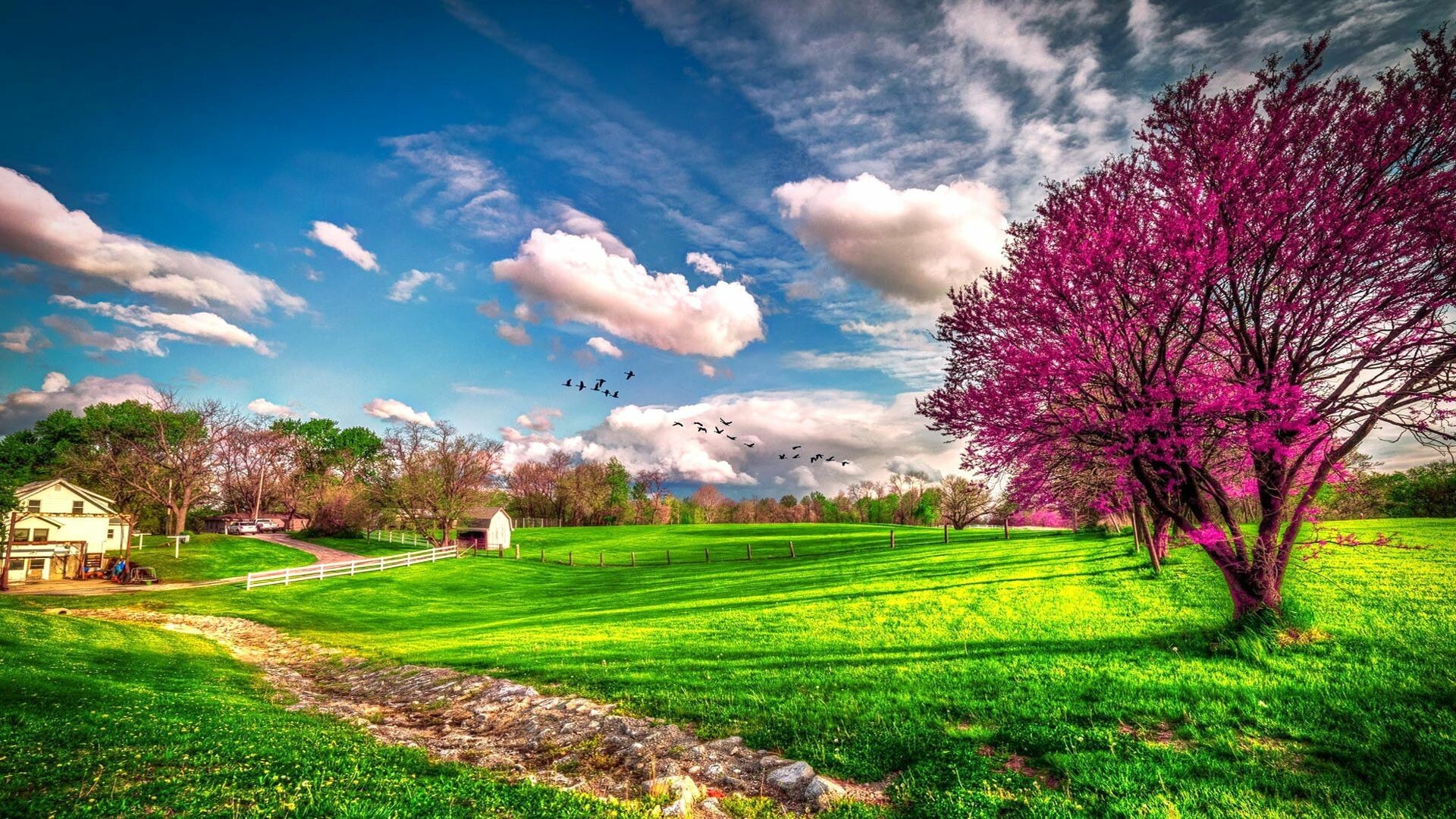 Spring: Nature, The season of rebirth, joy, love, and life, Vegetation. 1920x1080 Full HD Background.