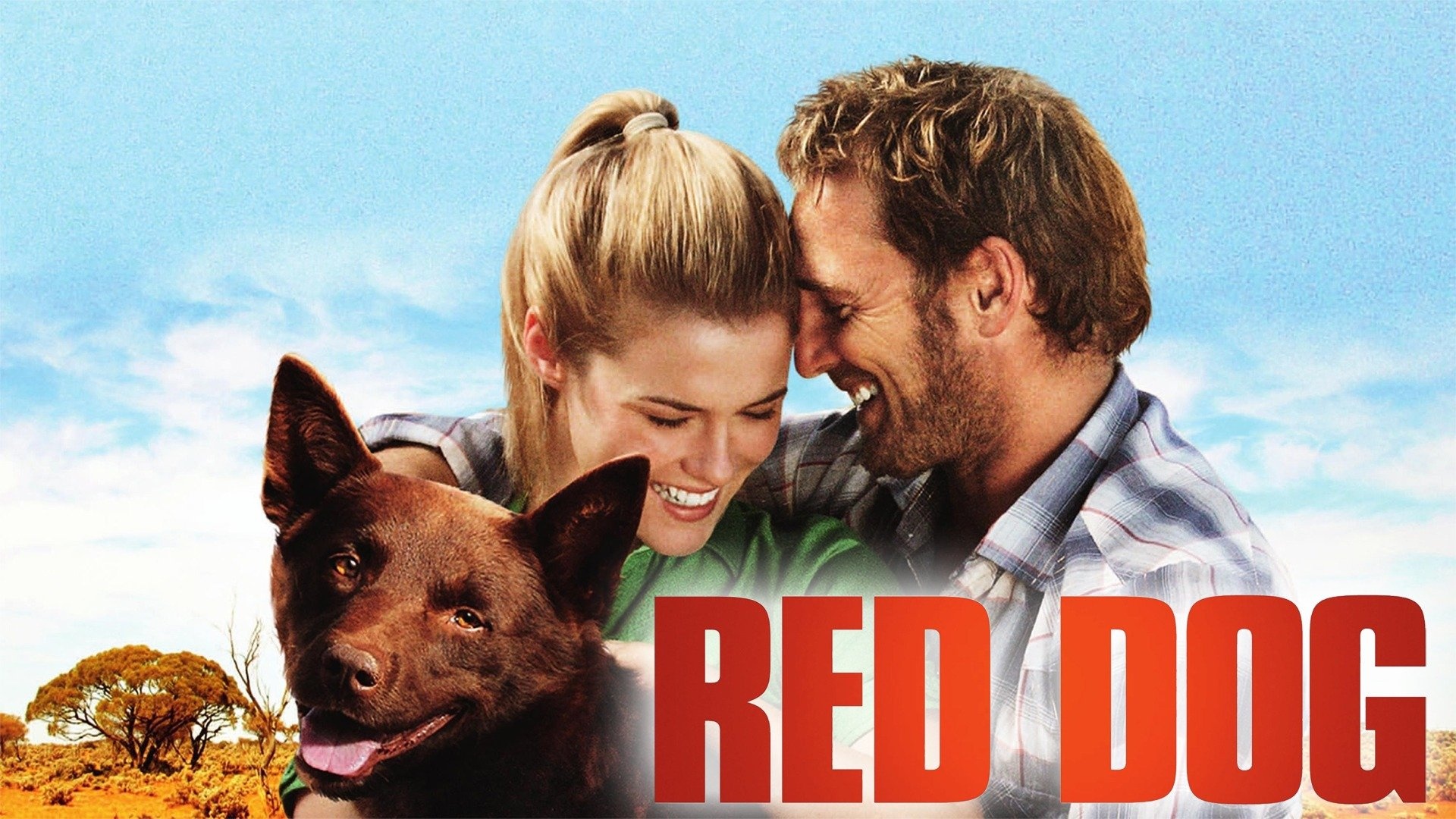 Red Dog movie, Australian outback, Unbreakable bond, Free-spirited dog, 1920x1080 Full HD Desktop