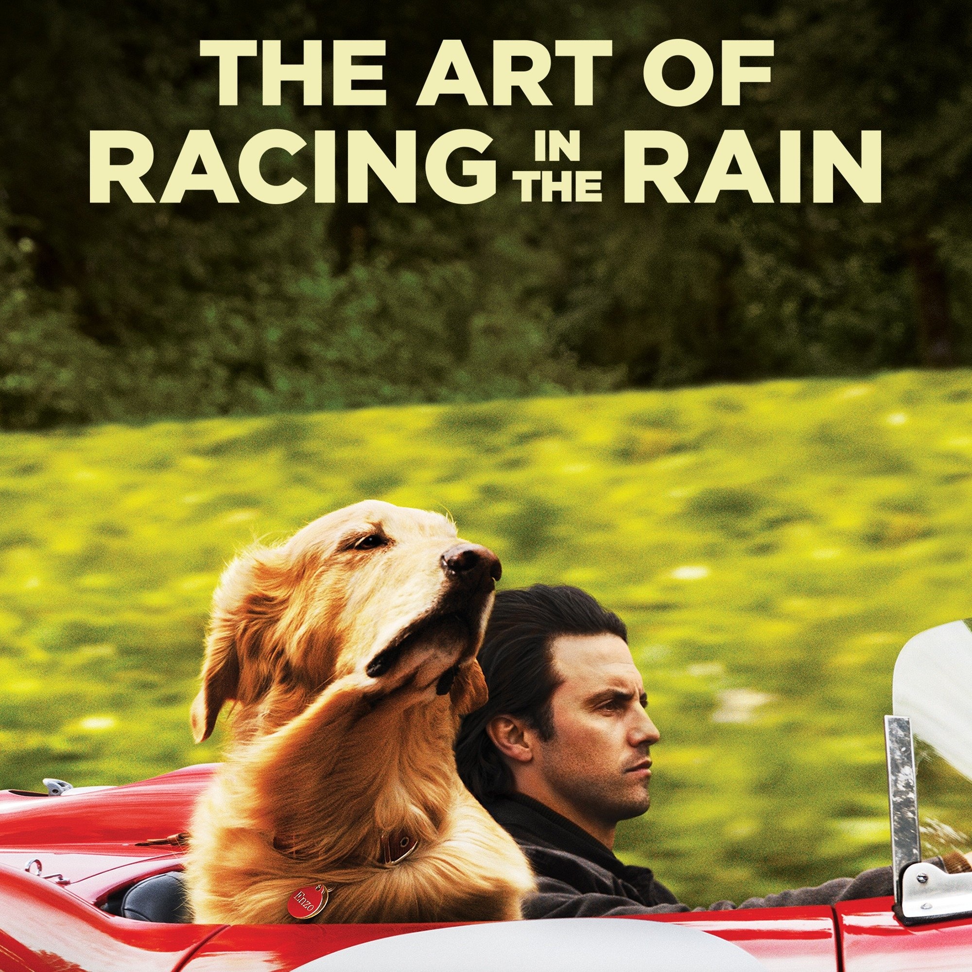 Art of Racing in the Rain, Full movie online, Plex streaming, Captivating story, 2000x2000 HD Phone