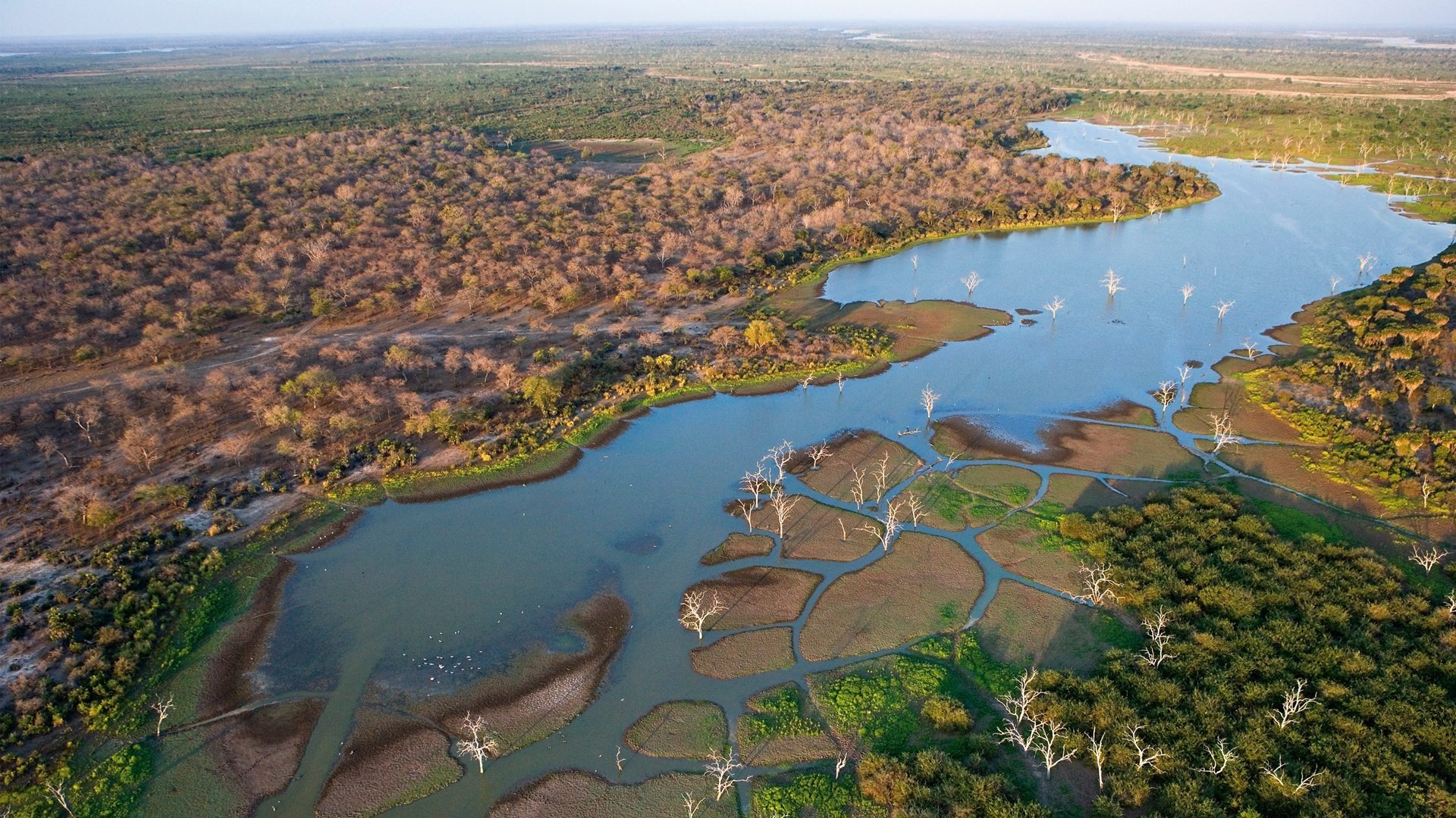 Eindrucksvolles Erlebnis im Okavango Delta, 1920x1080 Full HD Desktop