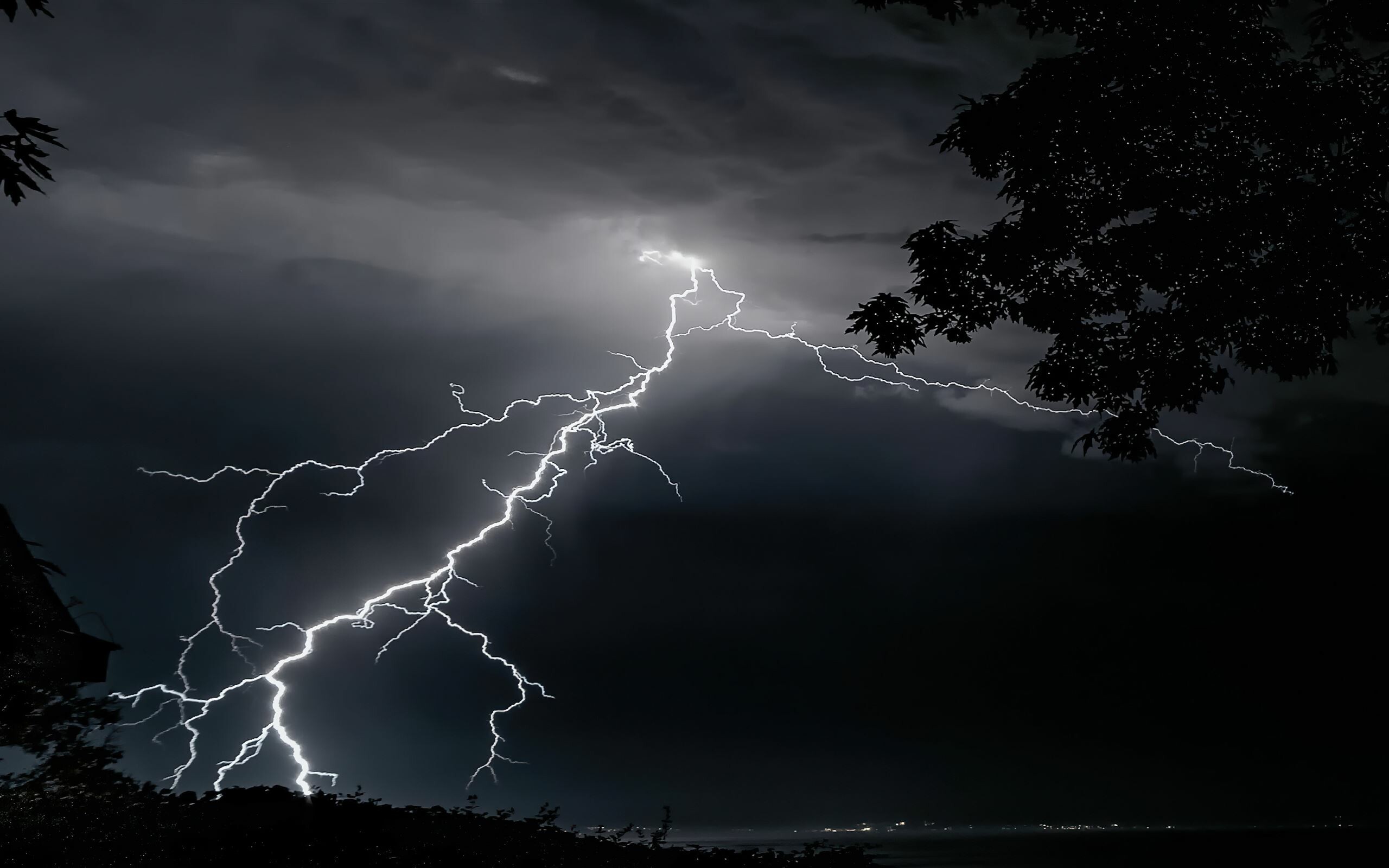 Gewitter, Natur, Blitz und Bume, Beeindruckende Atmosphre, 2560x1600 HD Desktop