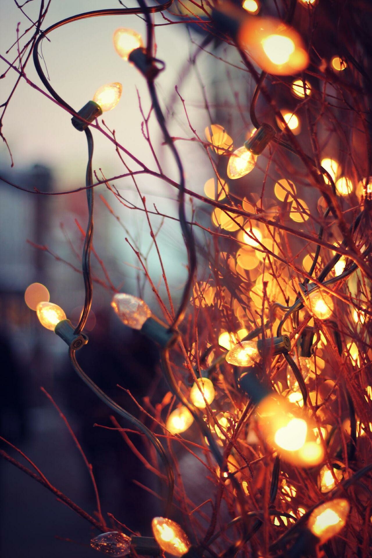 Fairy Lights: The custom goes back to when trees were decorated with candles. 1280x1920 HD Background.