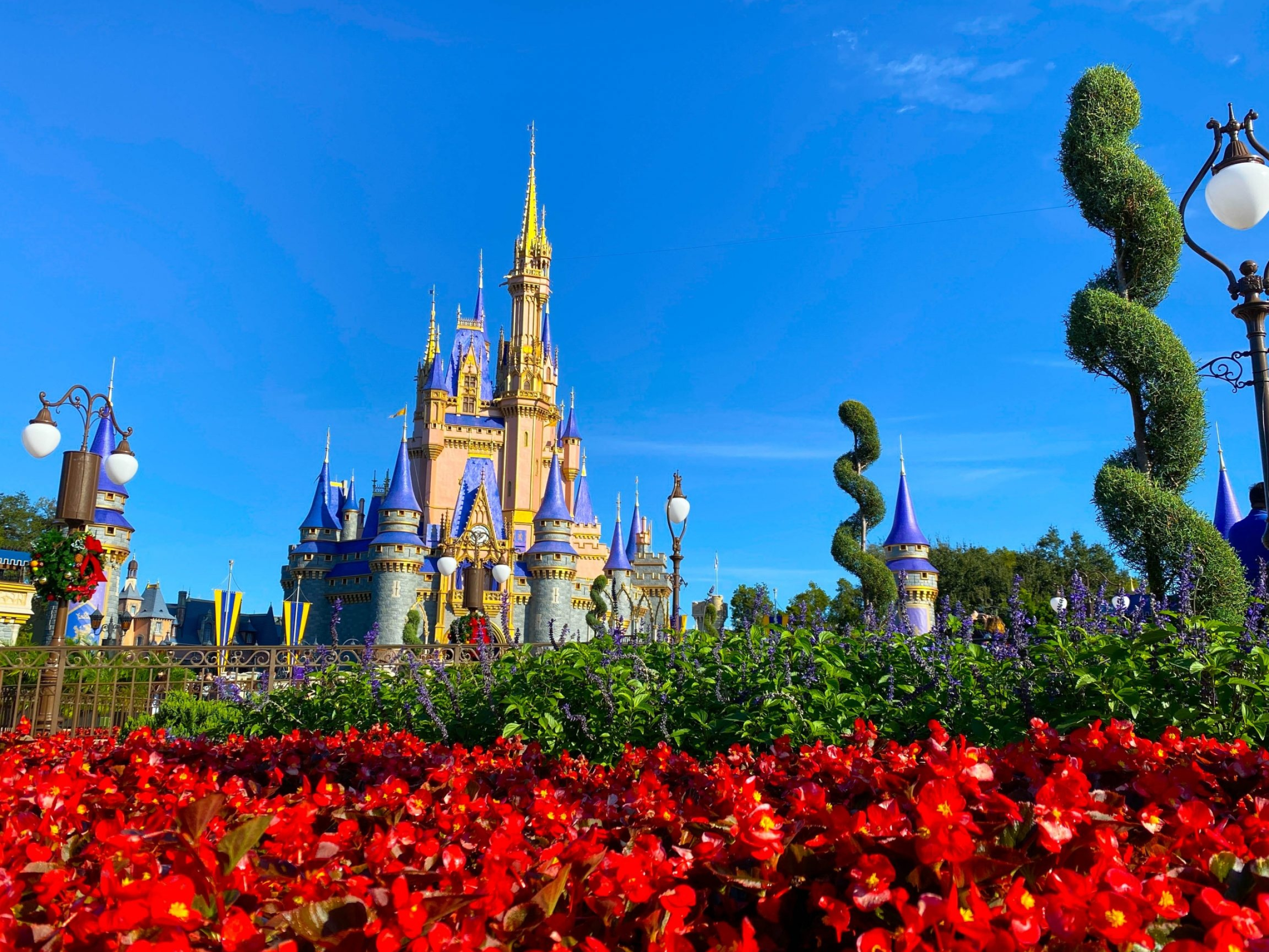 Walt Disney World Resort, Free gift, Disney World wallpapers, DFB, 2560x1920 HD Desktop