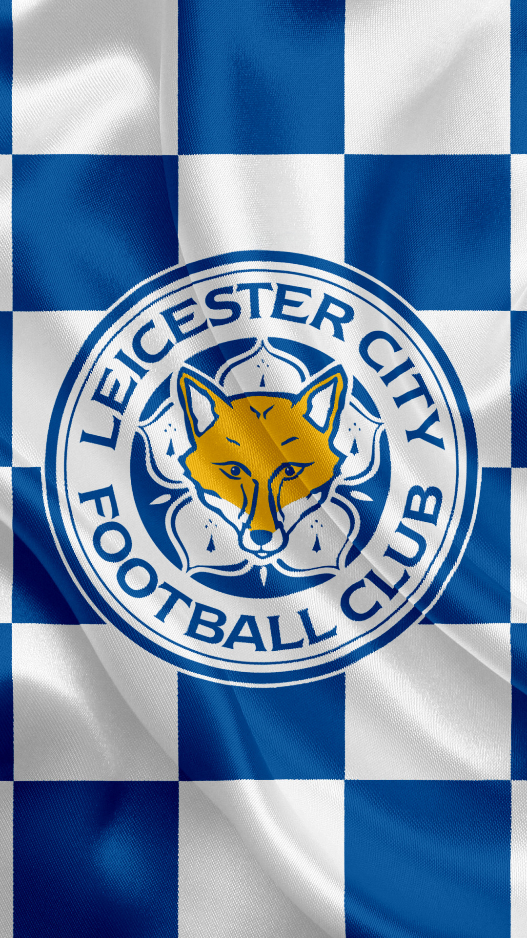 Leicester City, Sports theme, Football club pride, 1080x1920 Full HD Handy