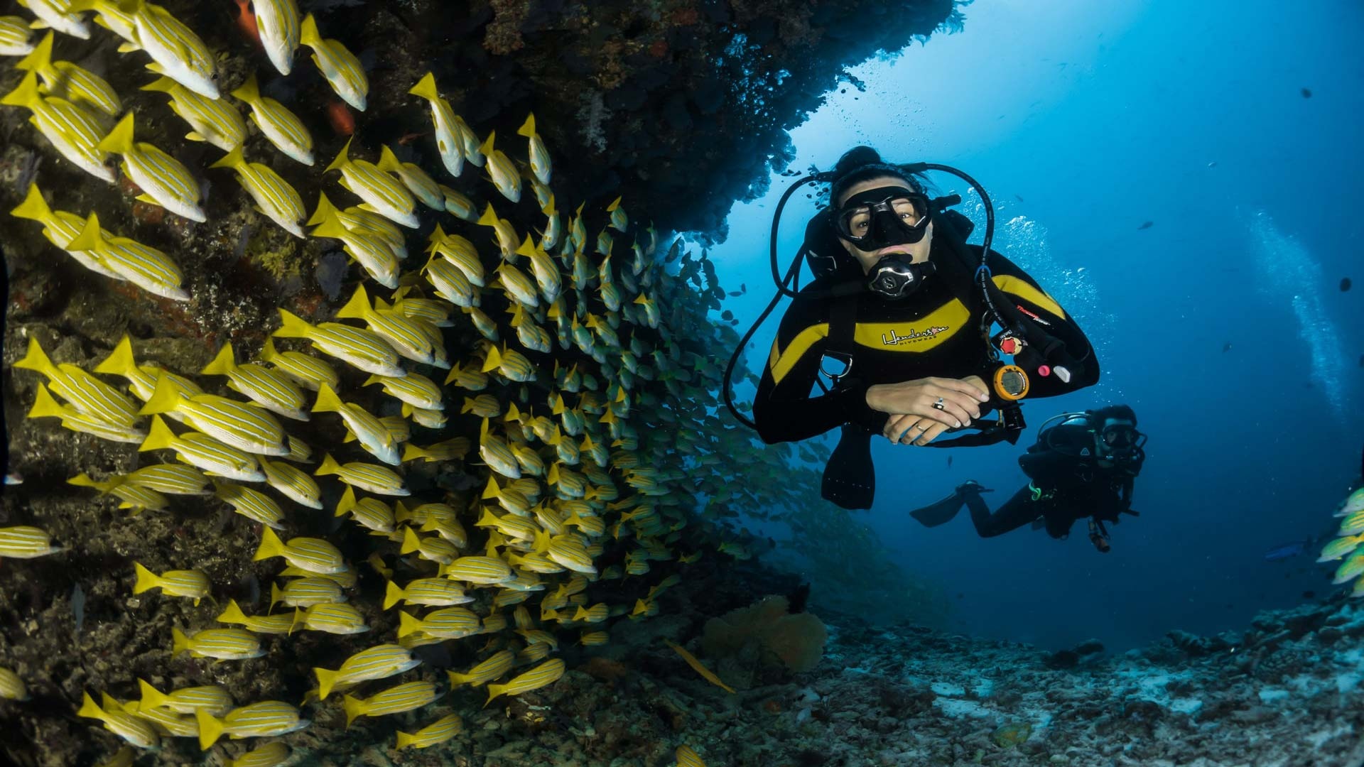 Scuba Diving: Divers move into the cave near the school of sea fish. 1920x1080 Full HD Wallpaper.