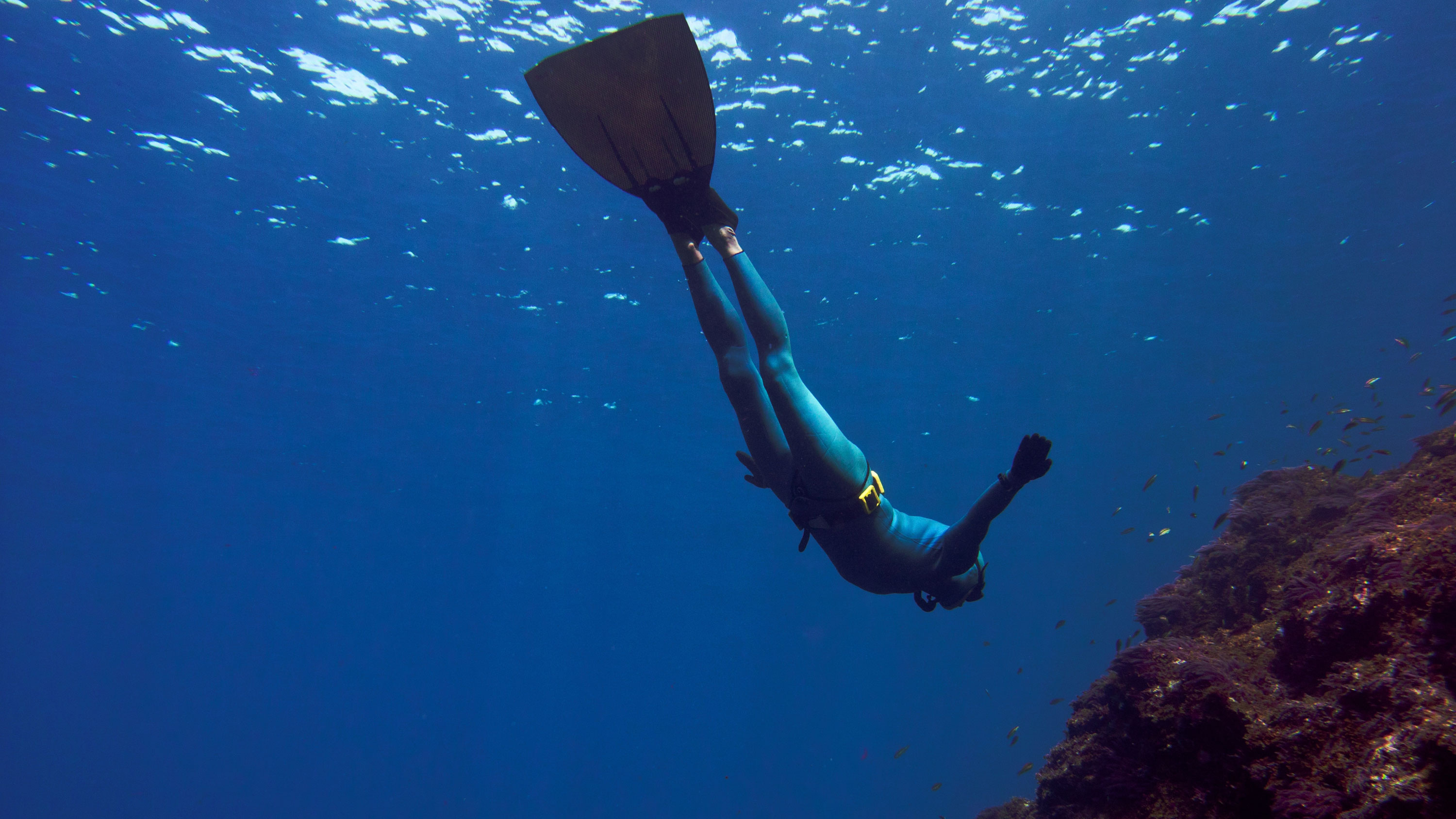 Freediving: Underwater swimming using monofin -  a type of swimfin that emulates a fluke. 3000x1690 HD Background.