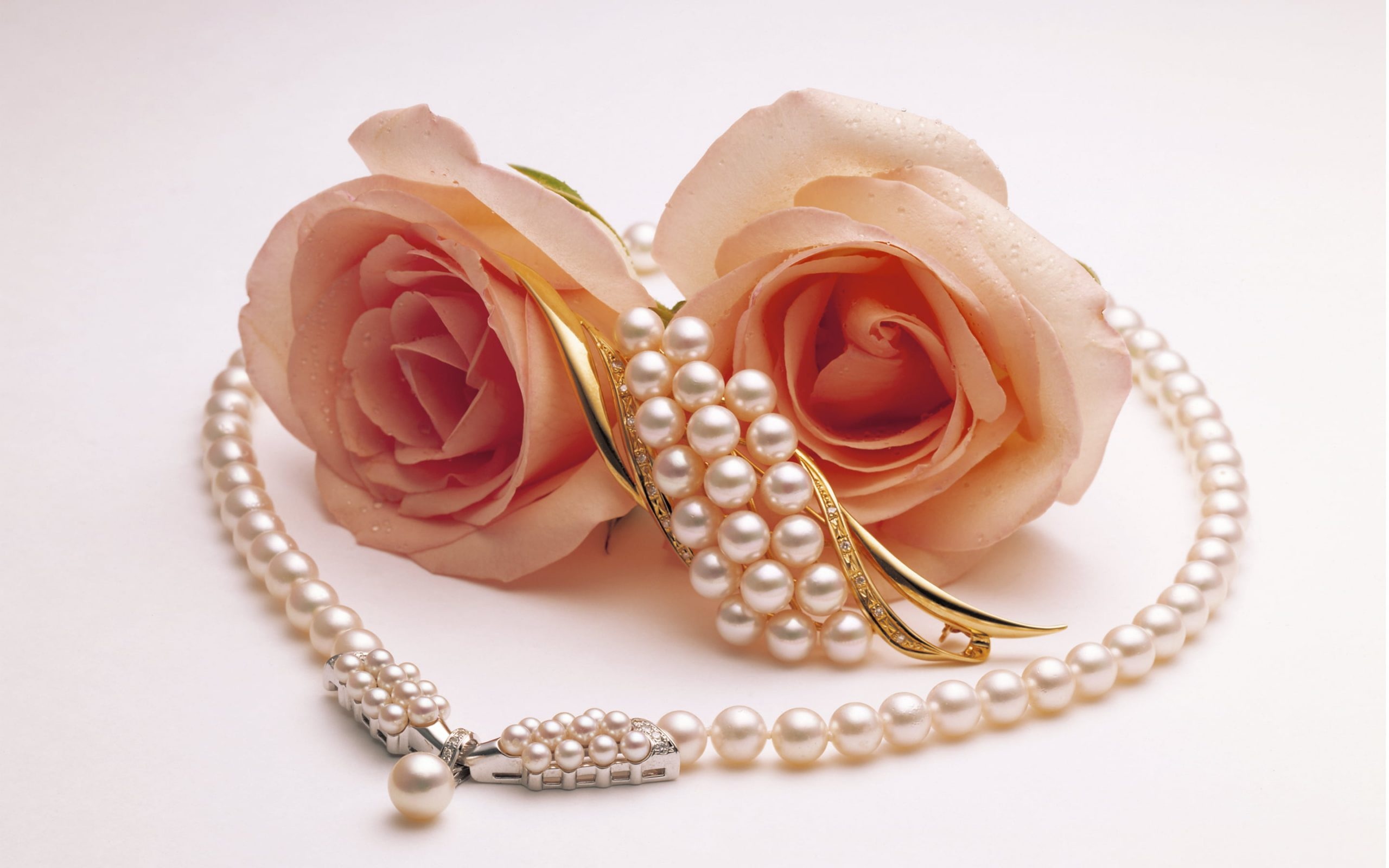 Gold colored jewelry, Pink roses, Pearl brooch, Fashionable wallpaper, 2560x1600 HD Desktop